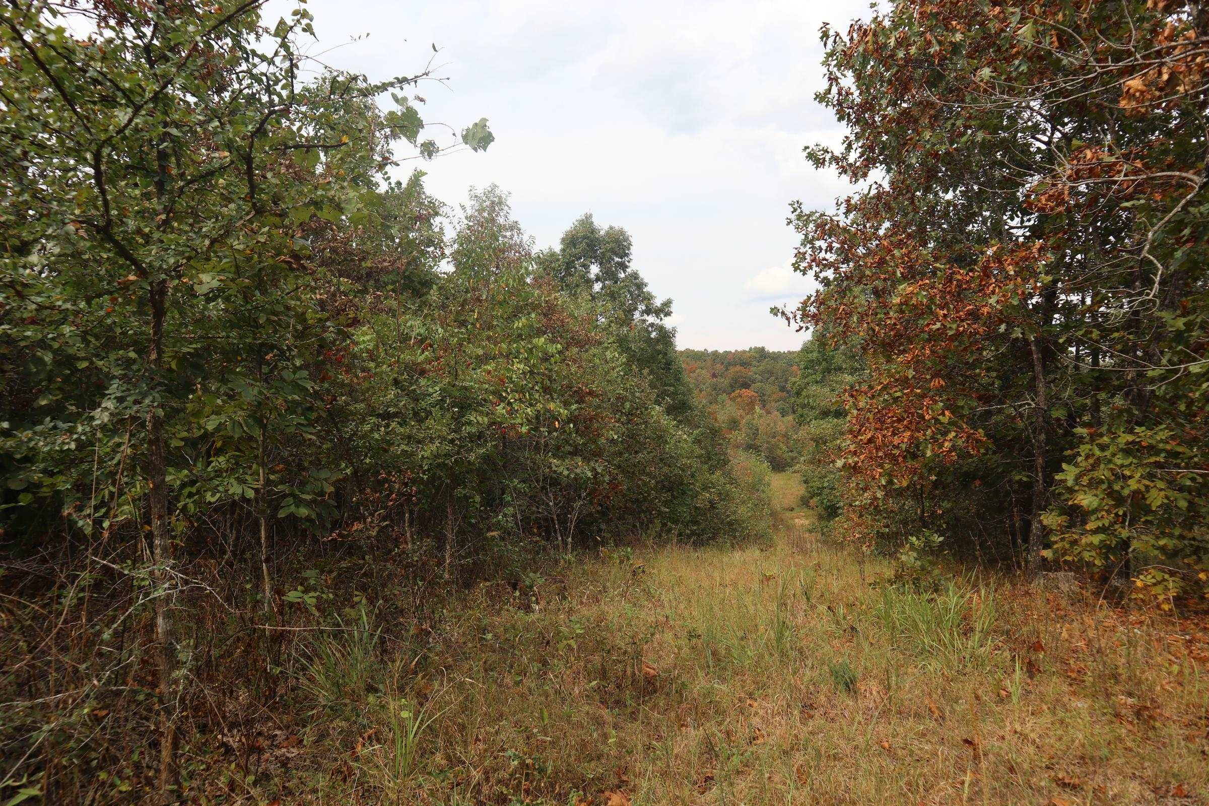 Photo 34 - Vacant Land for sale – 253  Coyote Rd   Salem, AR