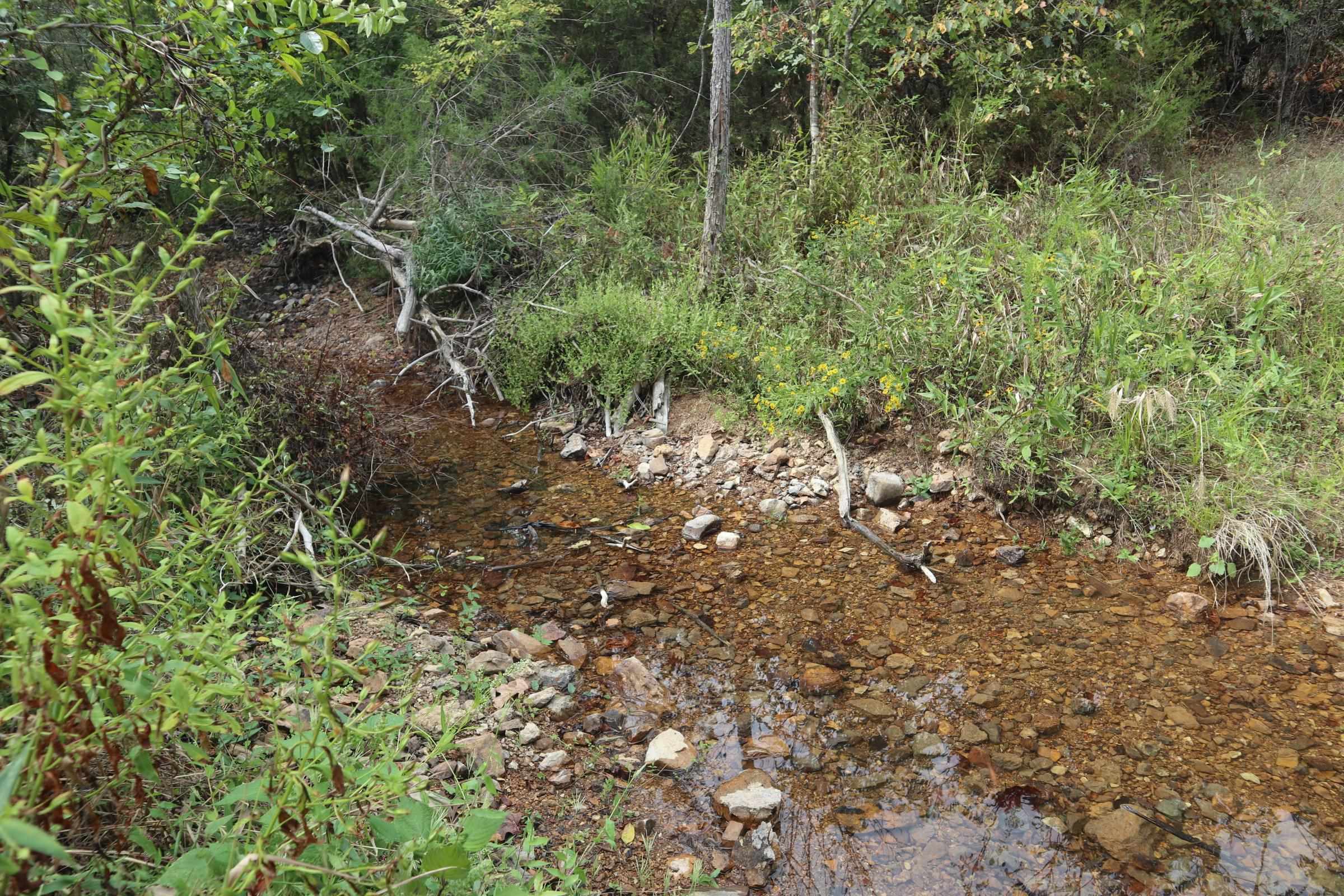 Photo 35 - Vacant Land for sale – 253  Coyote Rd   Salem, AR