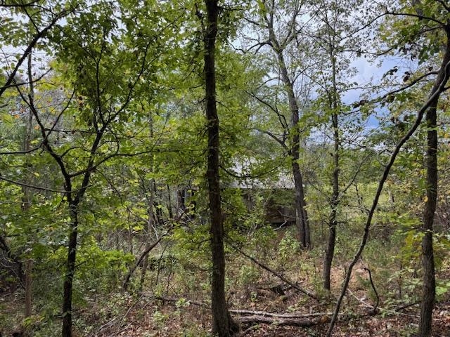 Photo 37 - Vacant Land for sale – 253  Coyote Rd   Salem, AR
