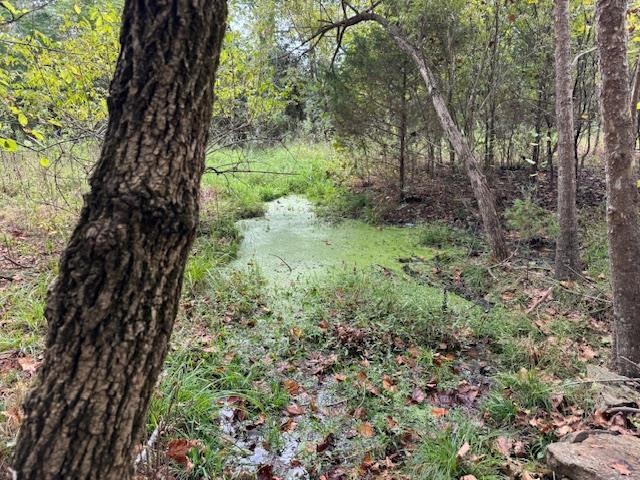 Photo 38 - Vacant Land for sale – 253  Coyote Rd   Salem, AR