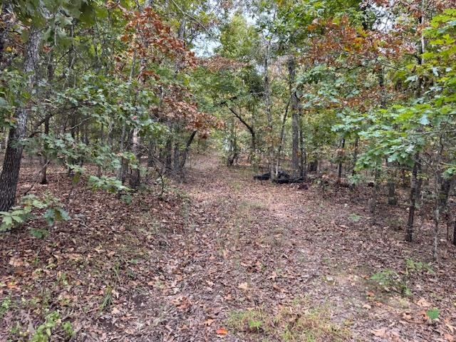 Photo 39 - Vacant Land for sale – 253  Coyote Rd   Salem, AR