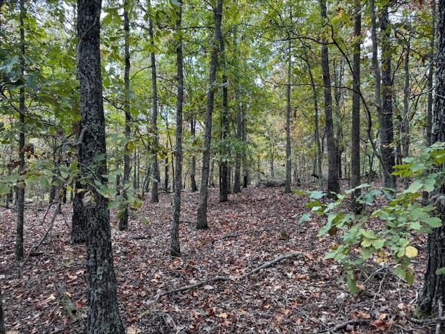 Photo 40 - Vacant Land for sale – 253  Coyote Rd   Salem, AR