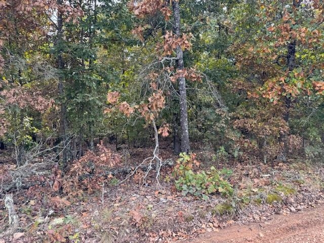 Photo 42 - Vacant Land for sale – 253  Coyote Rd   Salem, AR