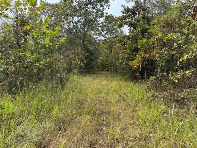 Photo 44 - Vacant Land for sale – 253  Coyote Rd   Salem, AR