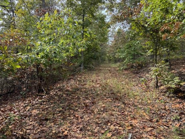 Photo 45 - Vacant Land for sale – 253  Coyote Rd   Salem, AR