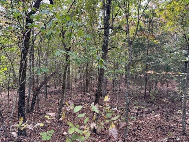 Photo 46 - Vacant Land for sale – 253  Coyote Rd   Salem, AR
