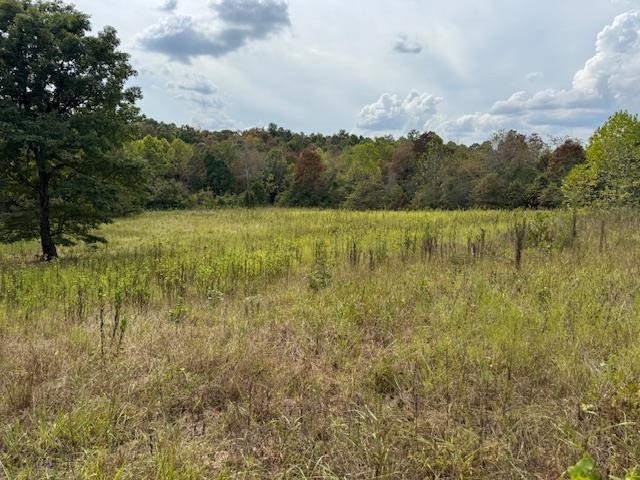 Photo 47 - Vacant Land for sale – 253  Coyote Rd   Salem, AR