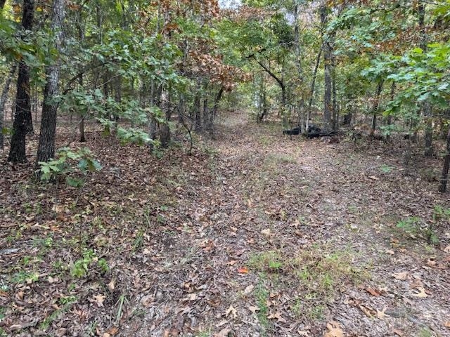Photo 48 - Vacant Land for sale – 253  Coyote Rd   Salem, AR