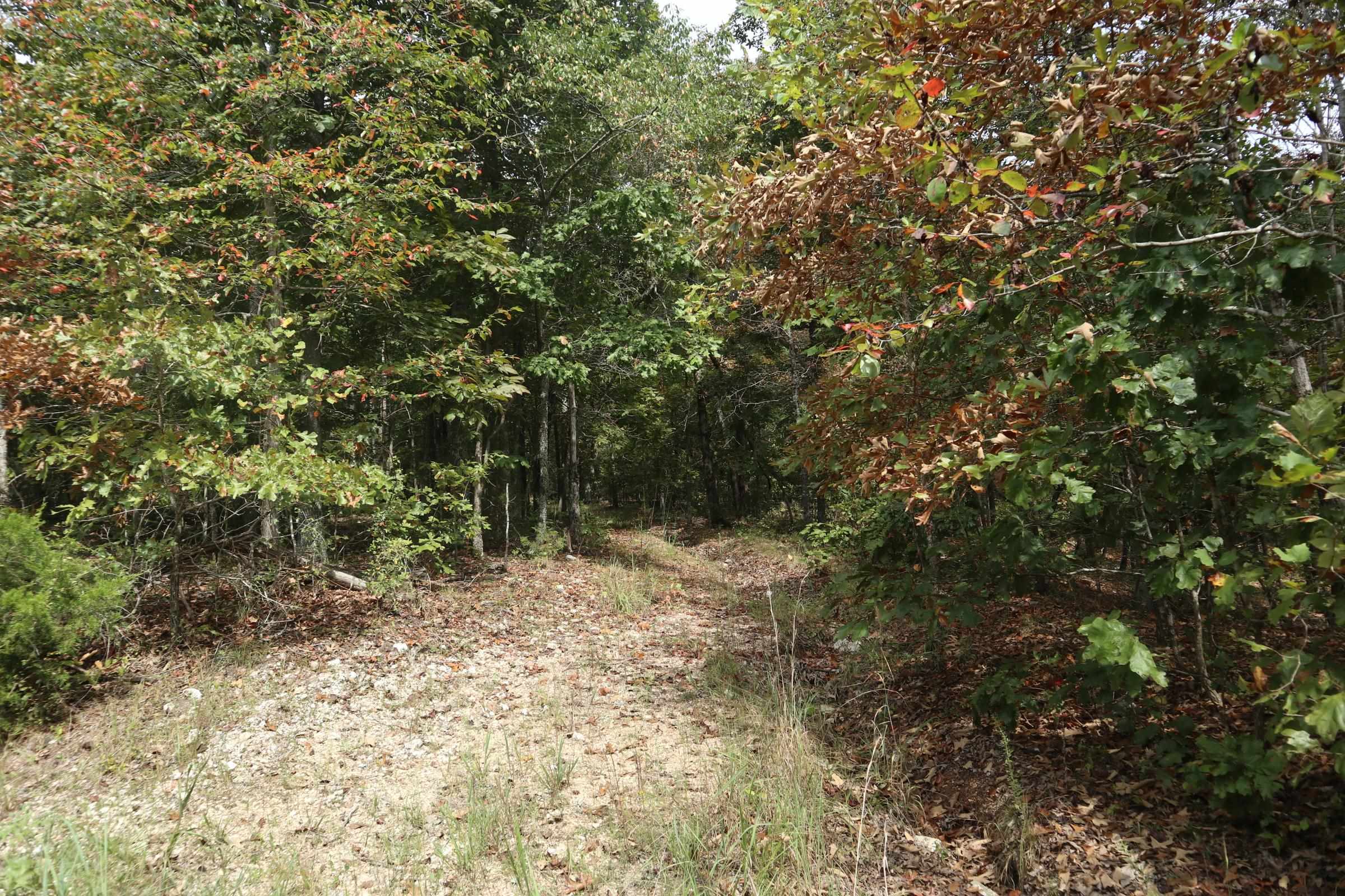 Photo 8 - Vacant Land for sale – 253  Coyote Rd   Salem, AR