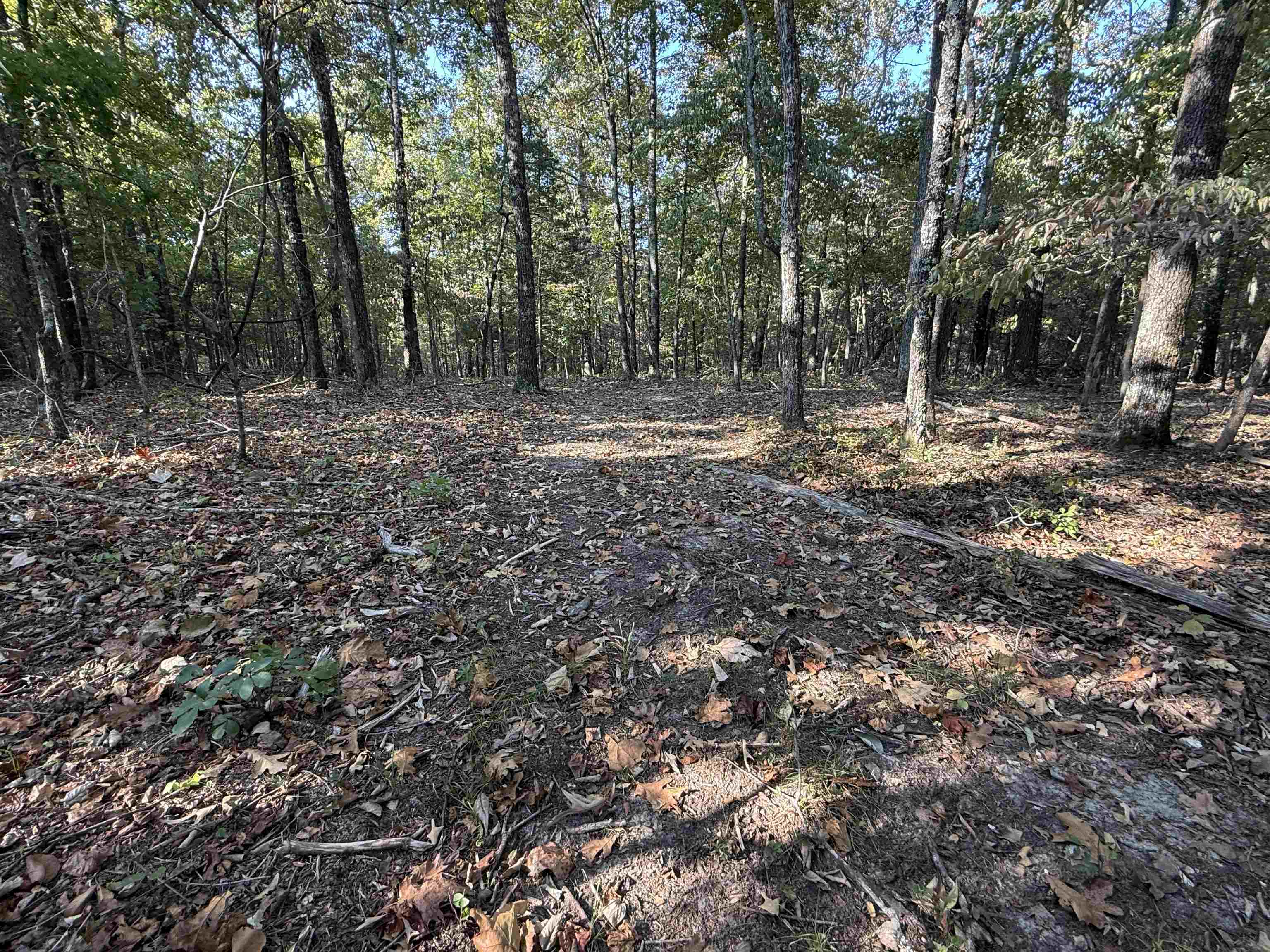 Photo 19 - Vacant Land for sale – 80A  Spring Hill Road   Oxford, AR
