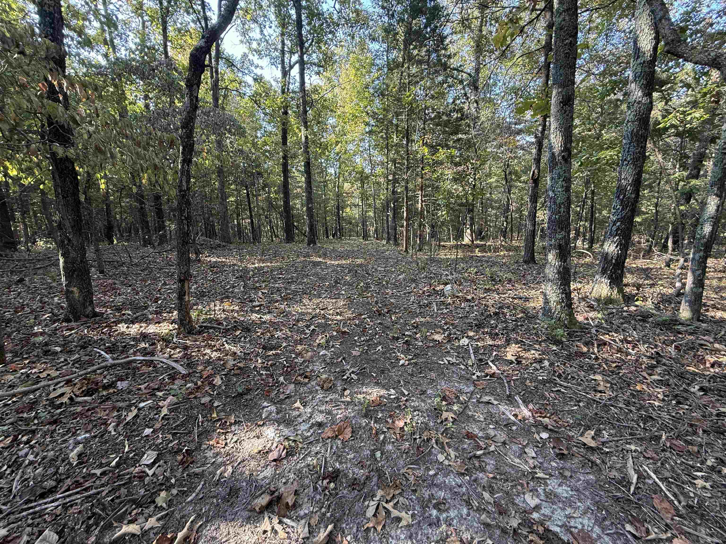 Photo 20 - Vacant Land for sale – 80A  Spring Hill Road   Oxford, AR