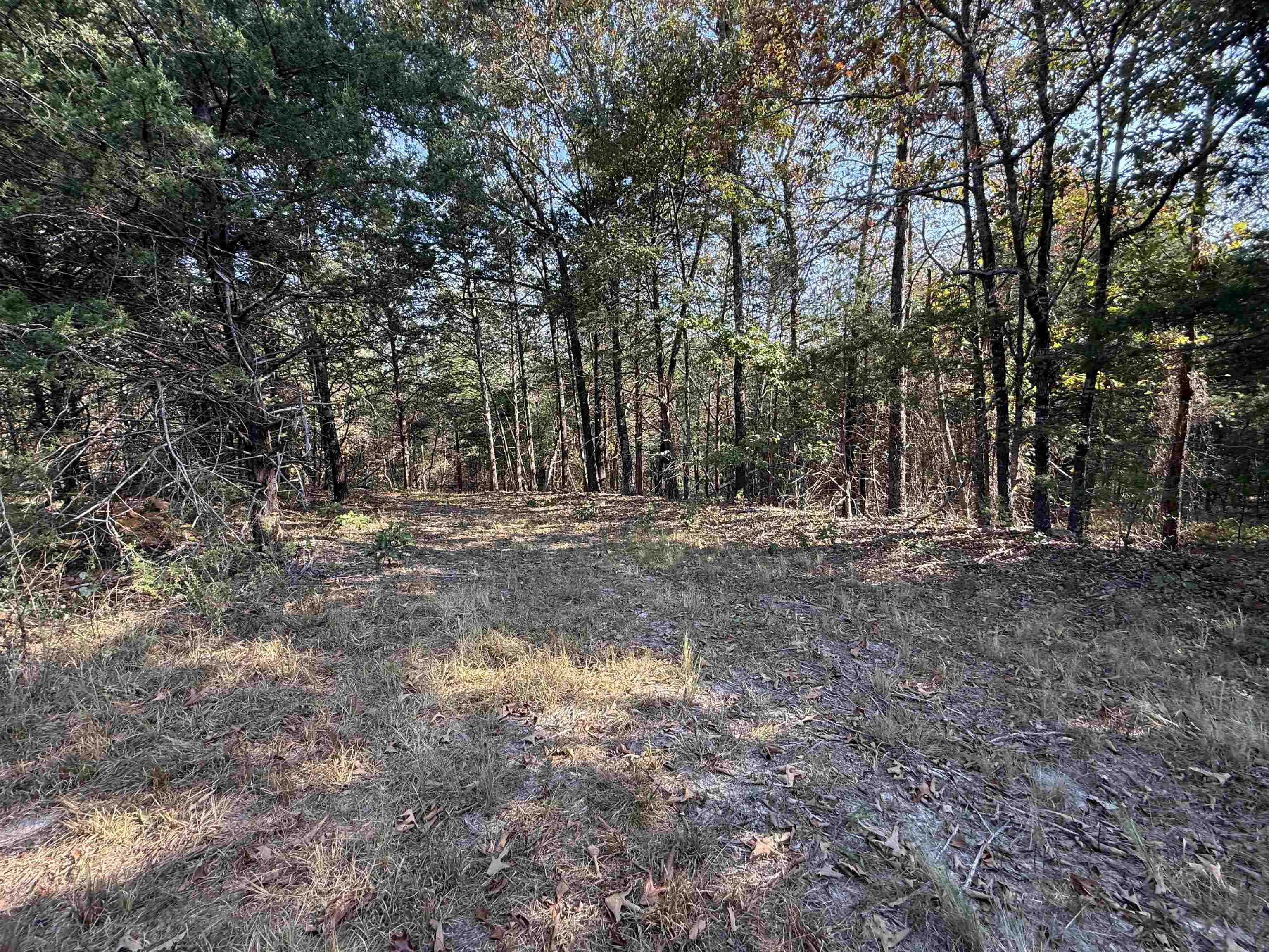 Photo 25 - Vacant Land for sale – 80A  Spring Hill Road   Oxford, AR
