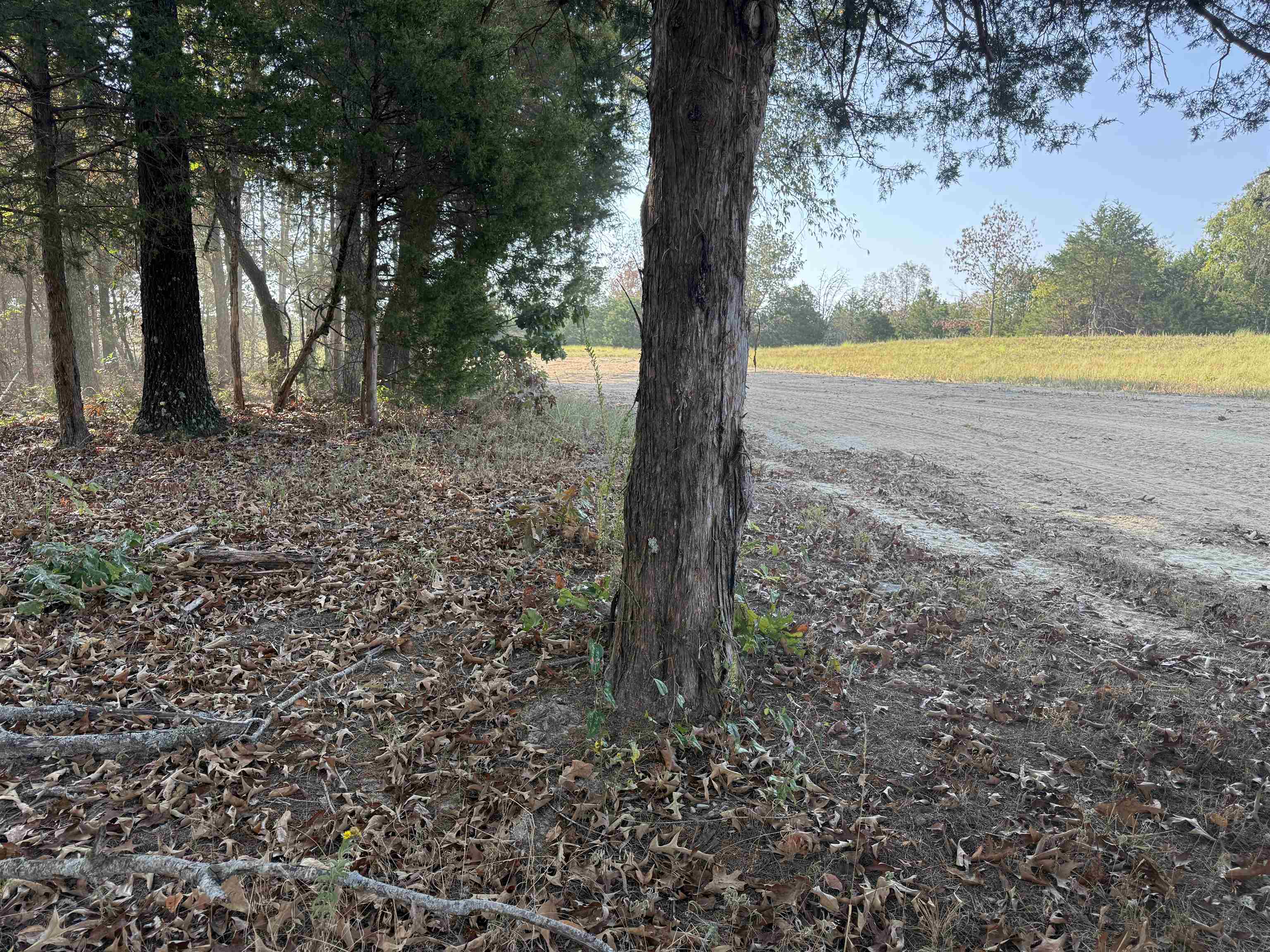 Photo 27 - Vacant Land for sale – 80A  Spring Hill Road   Oxford, AR