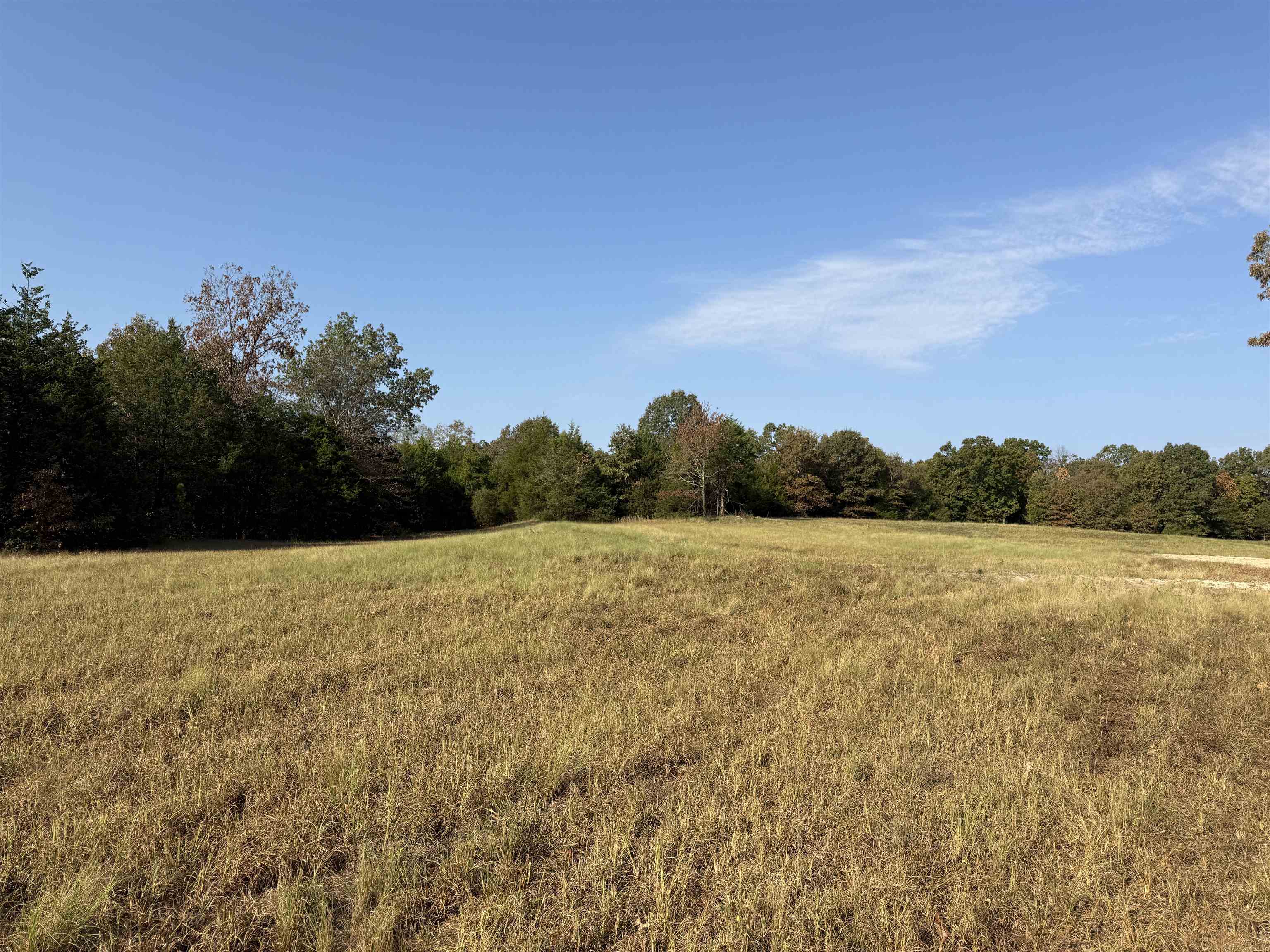 Photo 28 - Vacant Land for sale – 80A  Spring Hill Road   Oxford, AR