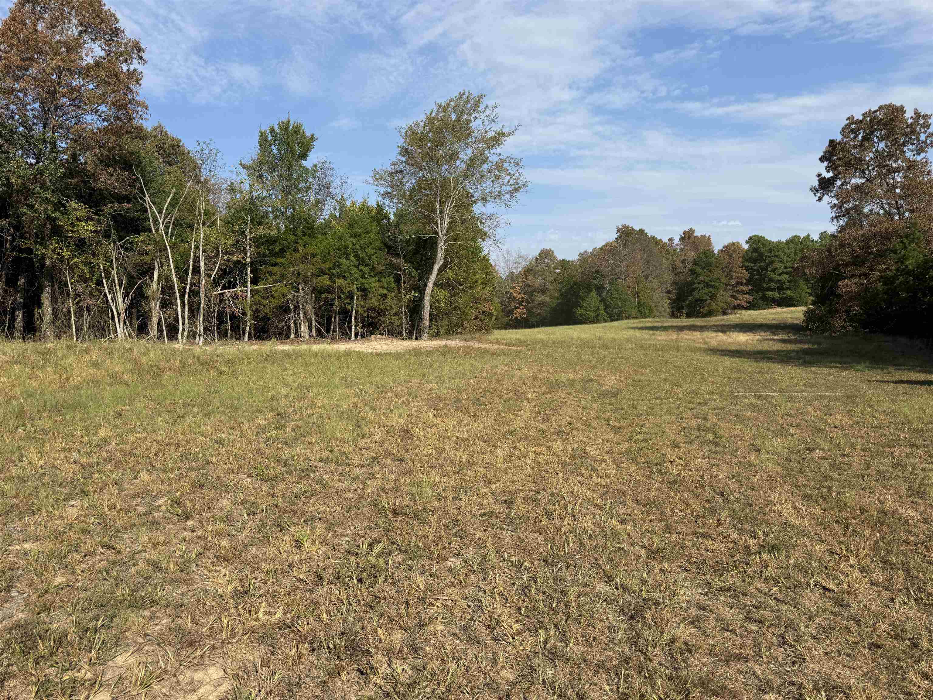 Photo 29 - Vacant Land for sale – 80A  Spring Hill Road   Oxford, AR