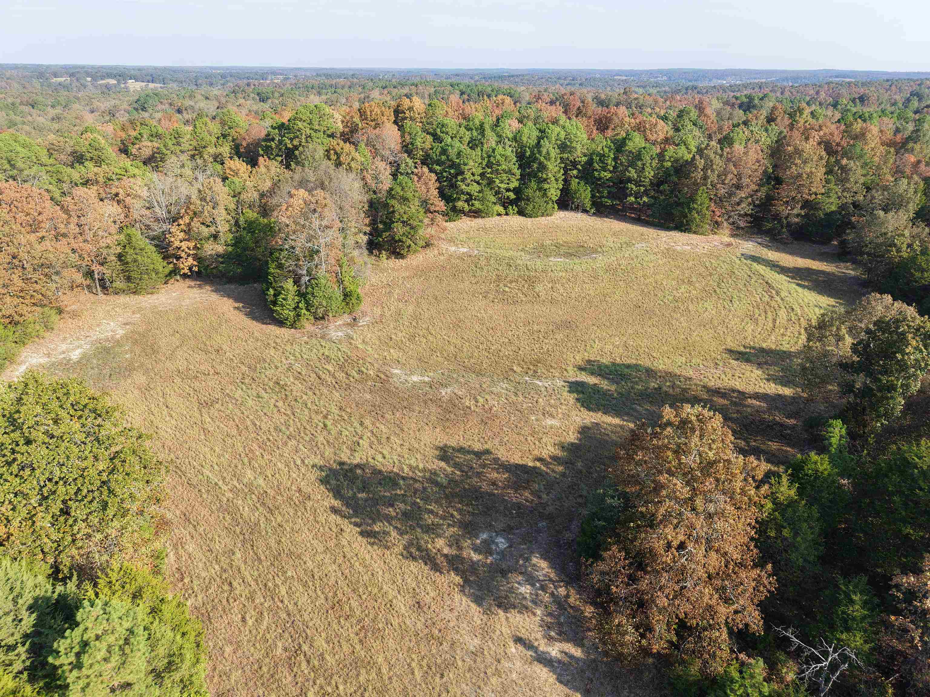 Photo 6 - Vacant Land for sale – 80A  Spring Hill Road   Oxford, AR