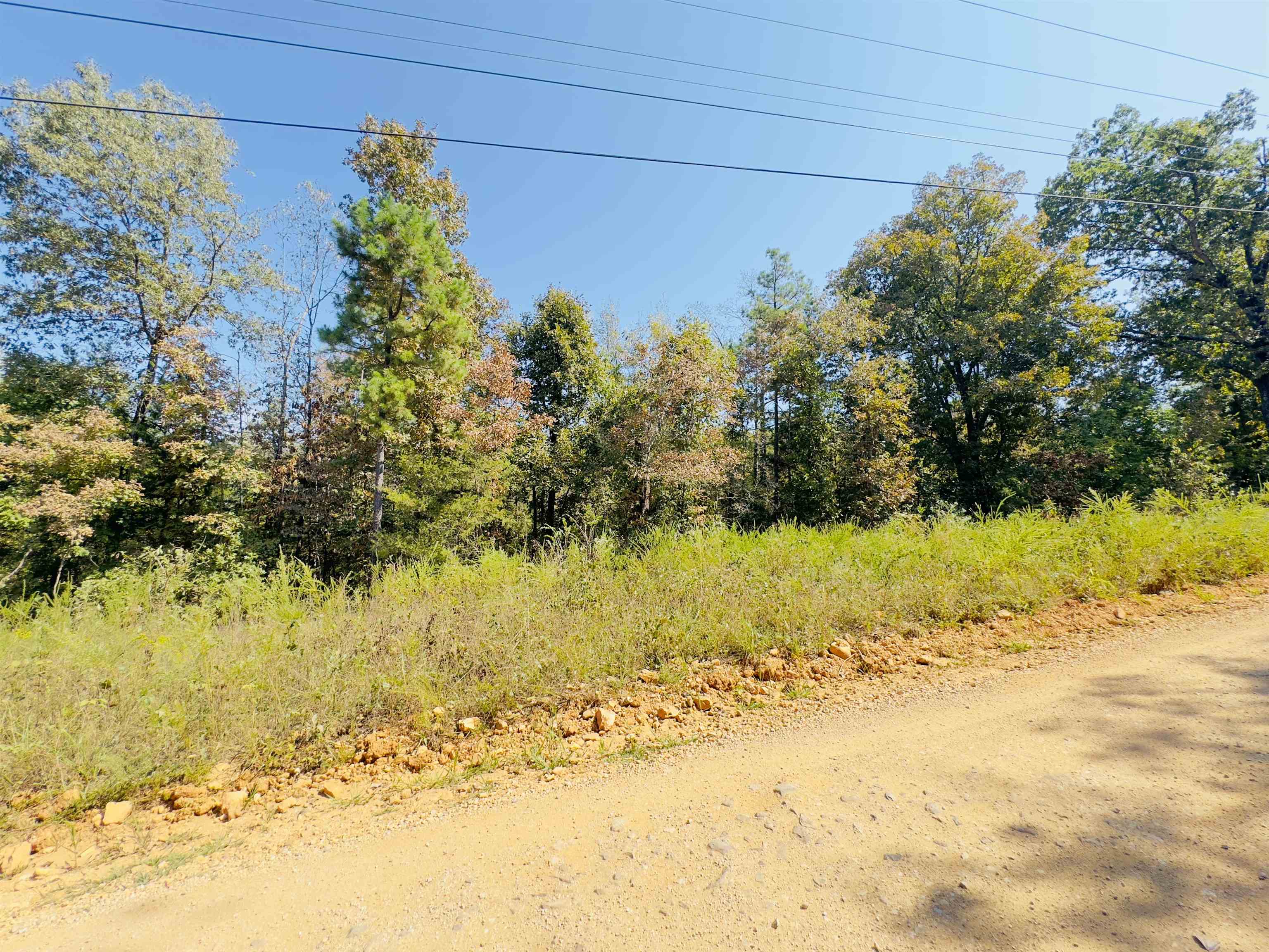 Photo 2 - Vacant Land for sale – 3601  Jumbo   Melbourne, AR
