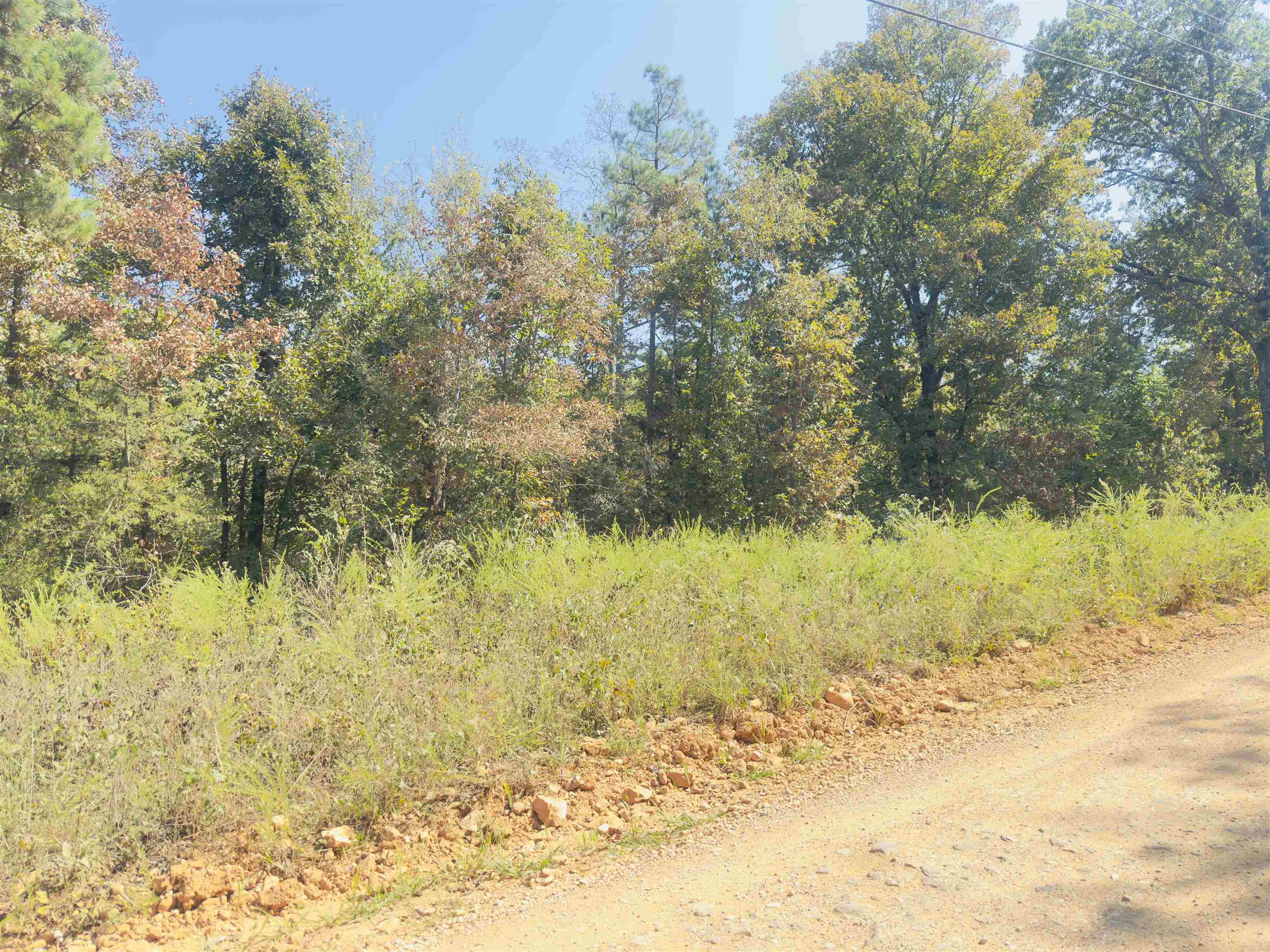 Photo 3 - Vacant Land for sale – 3601  Jumbo   Melbourne, AR