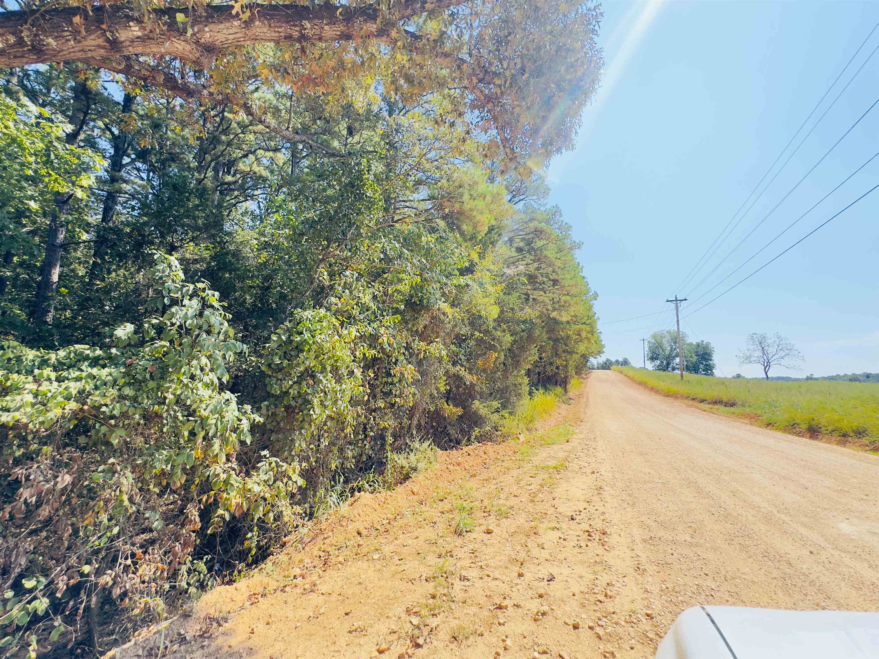 Photo 4 - Vacant Land for sale – 3601  Jumbo   Melbourne, AR
