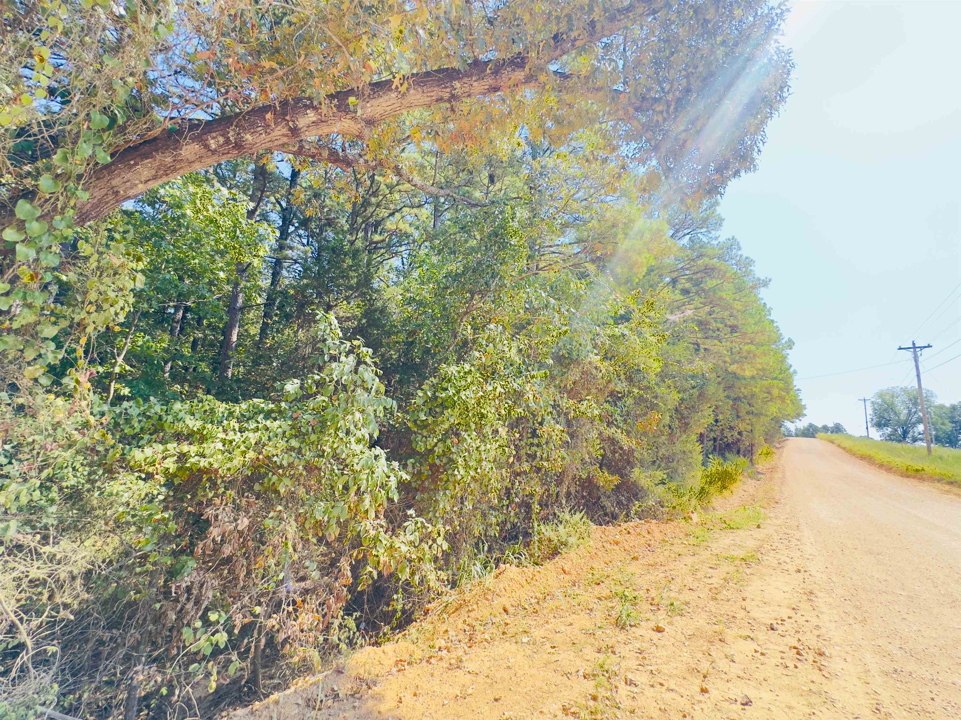 Photo 5 - Vacant Land for sale – 3601  Jumbo   Melbourne, AR