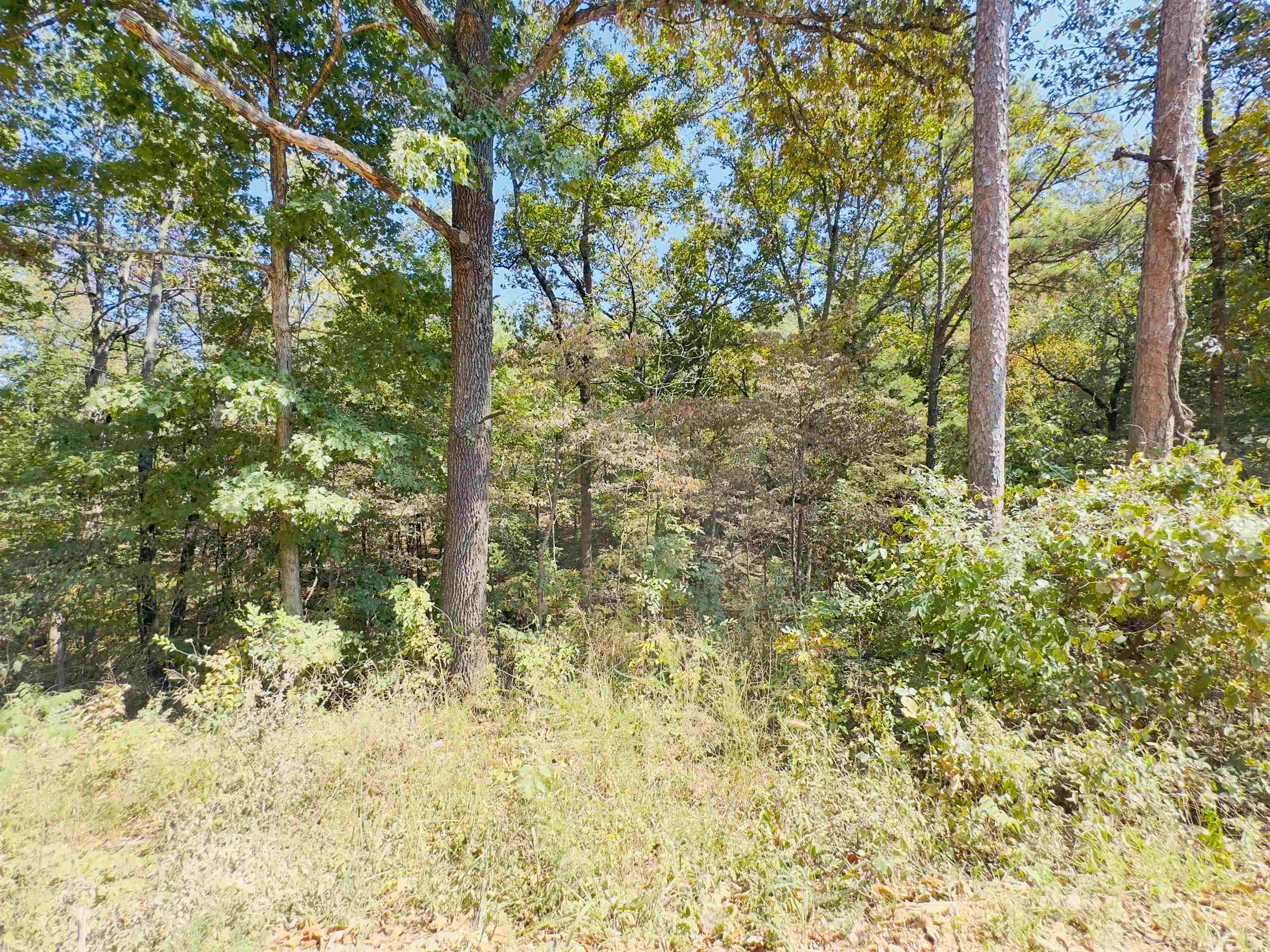 Photo 7 - Vacant Land for sale – 3601  Jumbo   Melbourne, AR