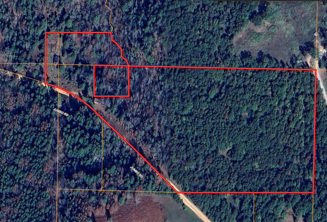 Photo 9 - Vacant Land for sale – 3601  Jumbo   Melbourne, AR