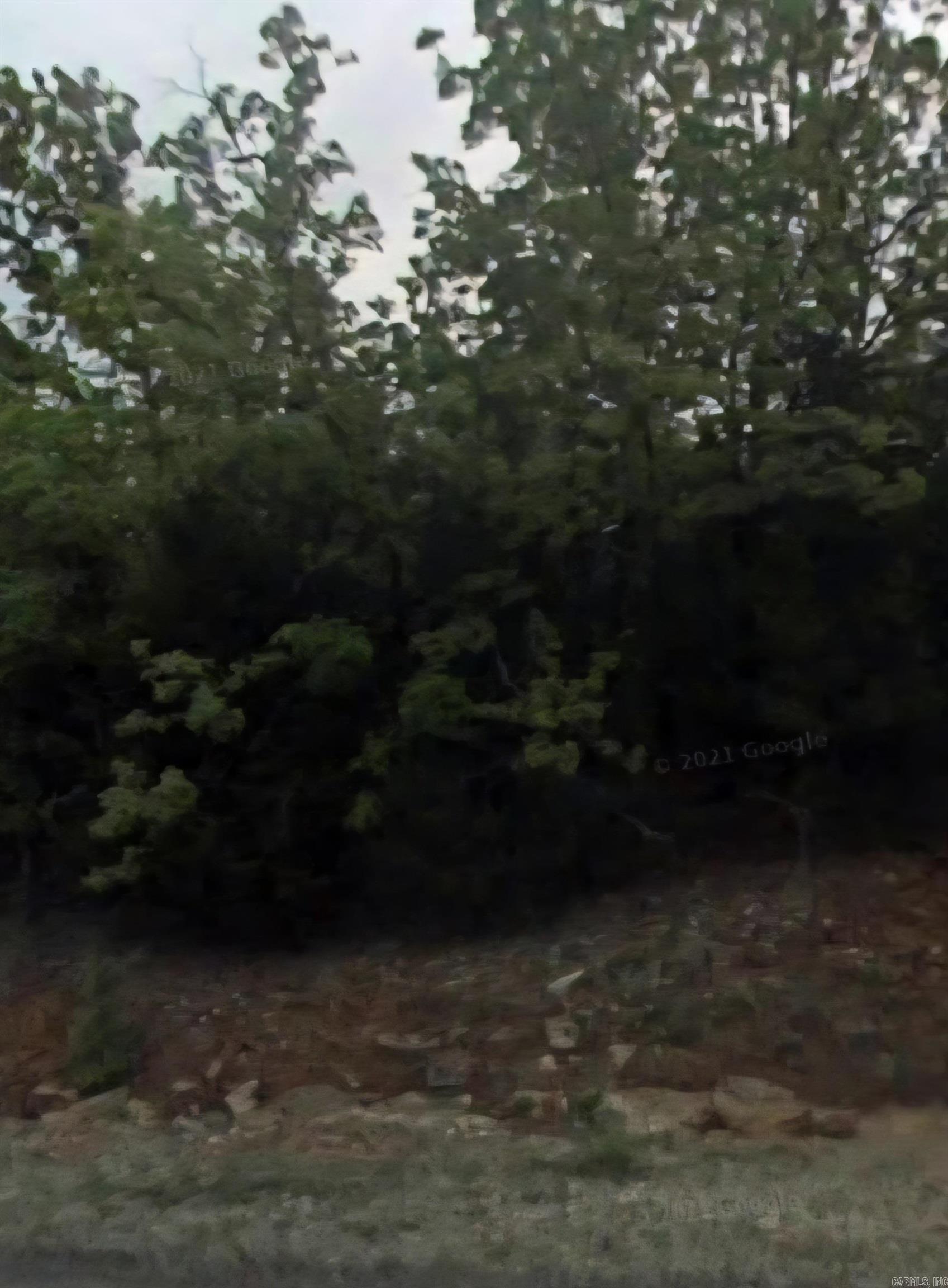 Photo 5 - Vacant Land for sale – 1102 W Canary   Horseshoe Bend, AR