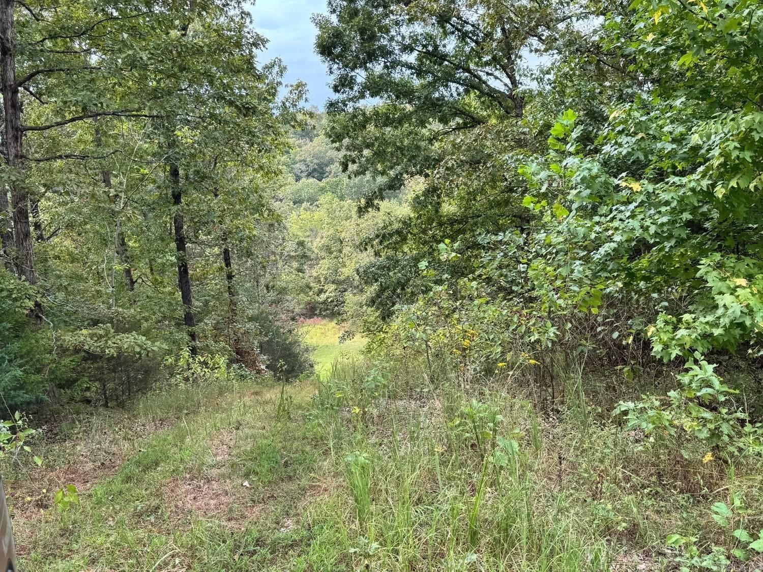 Photo 26 - Residential for sale – 90  Mitchell   Batesville, AR