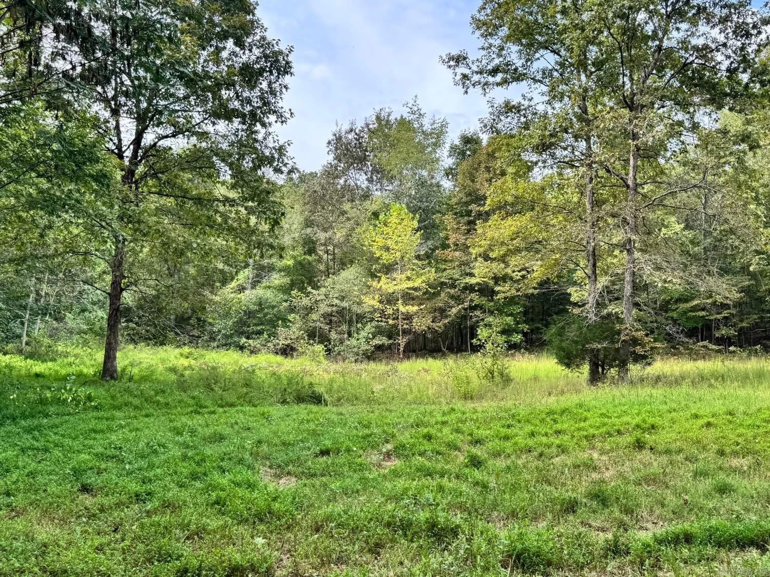 Photo 28 - Residential for sale – 90  Mitchell   Batesville, AR