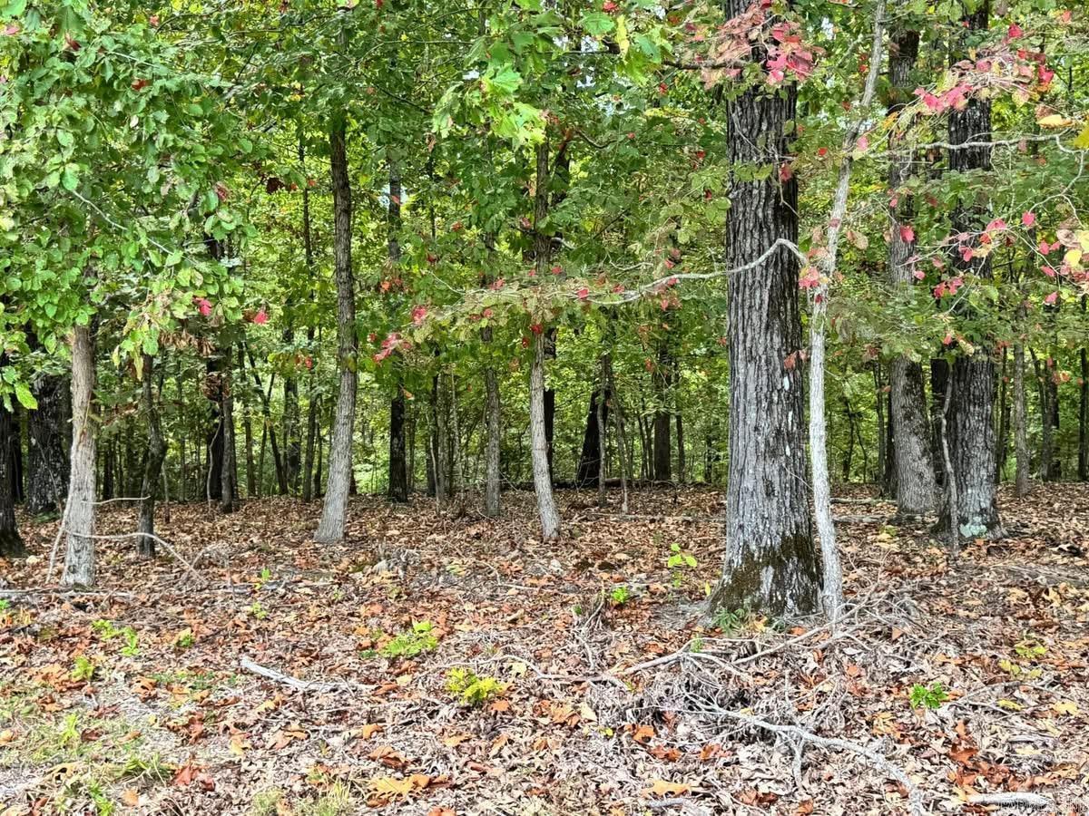 Photo 29 - Residential for sale – 90  Mitchell   Batesville, AR