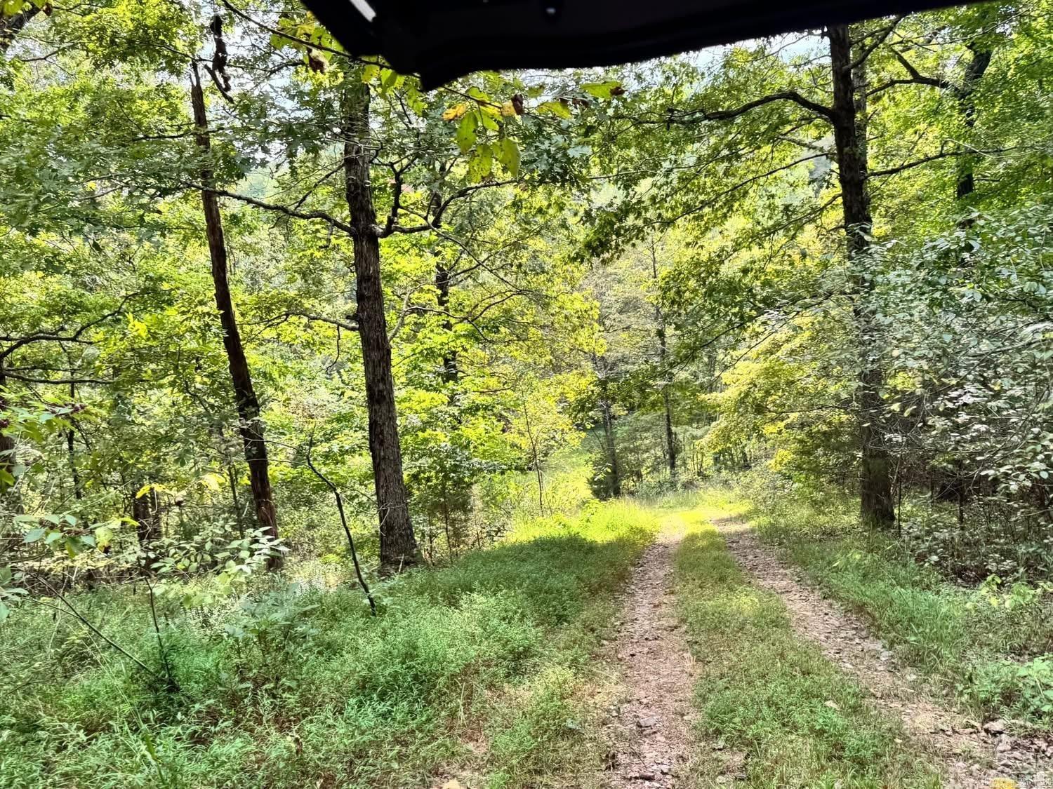 Photo 30 - Residential for sale – 90  Mitchell   Batesville, AR