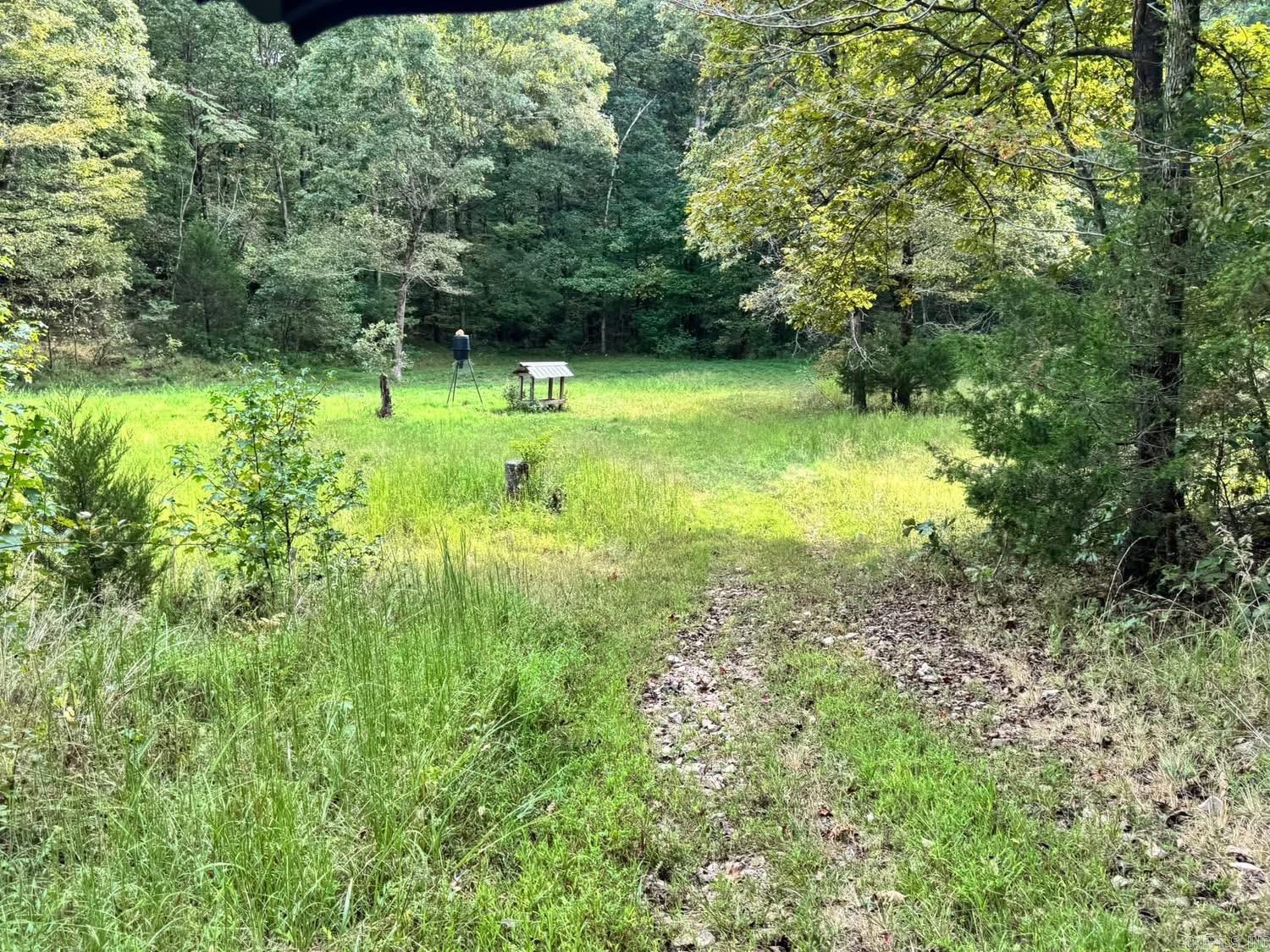 Photo 31 - Residential for sale – 90  Mitchell   Batesville, AR