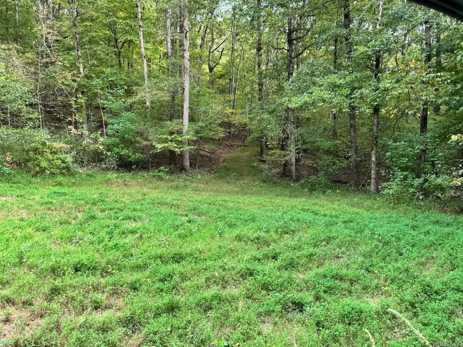 Photo 32 - Residential for sale – 90  Mitchell   Batesville, AR