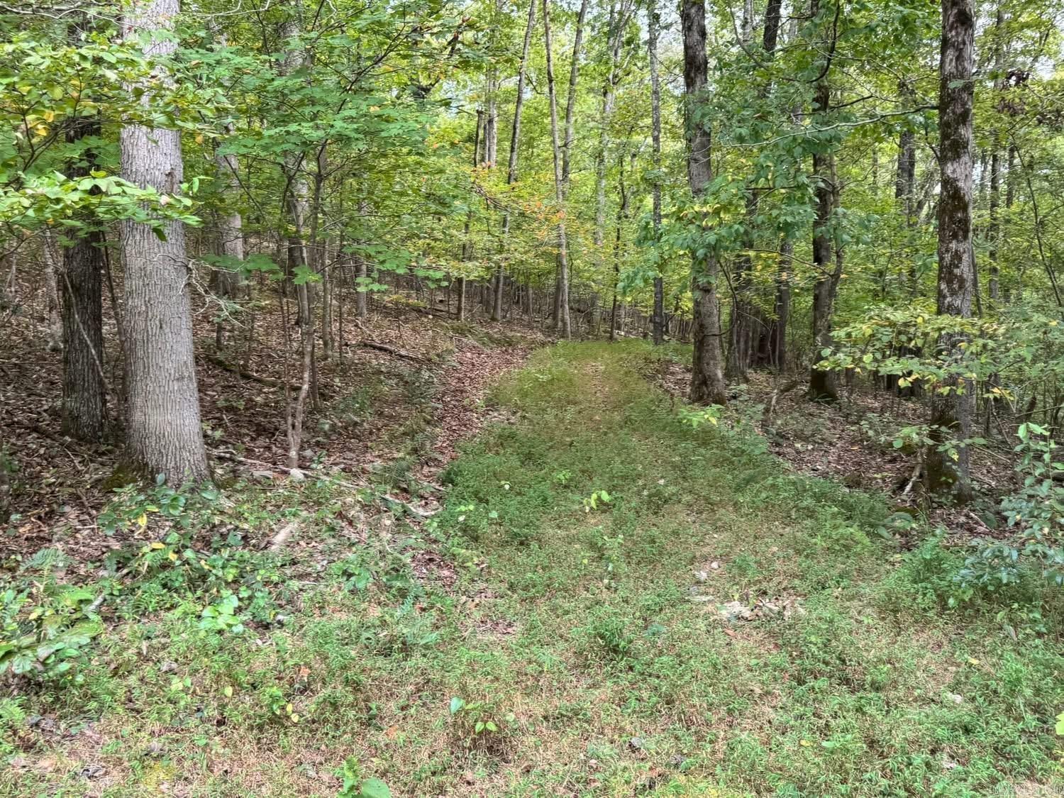 Photo 34 - Residential for sale – 90  Mitchell   Batesville, AR