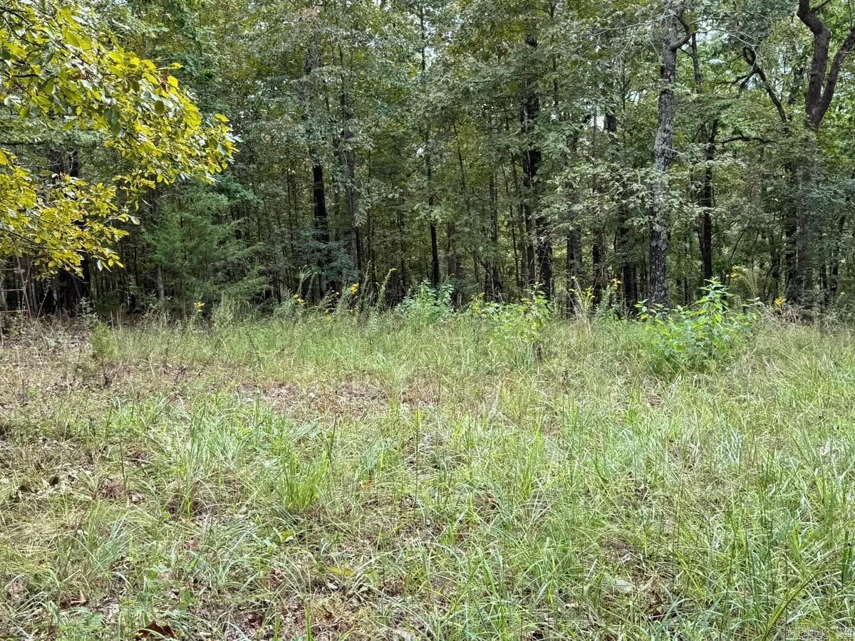 Photo 38 - Residential for sale – 90  Mitchell   Batesville, AR