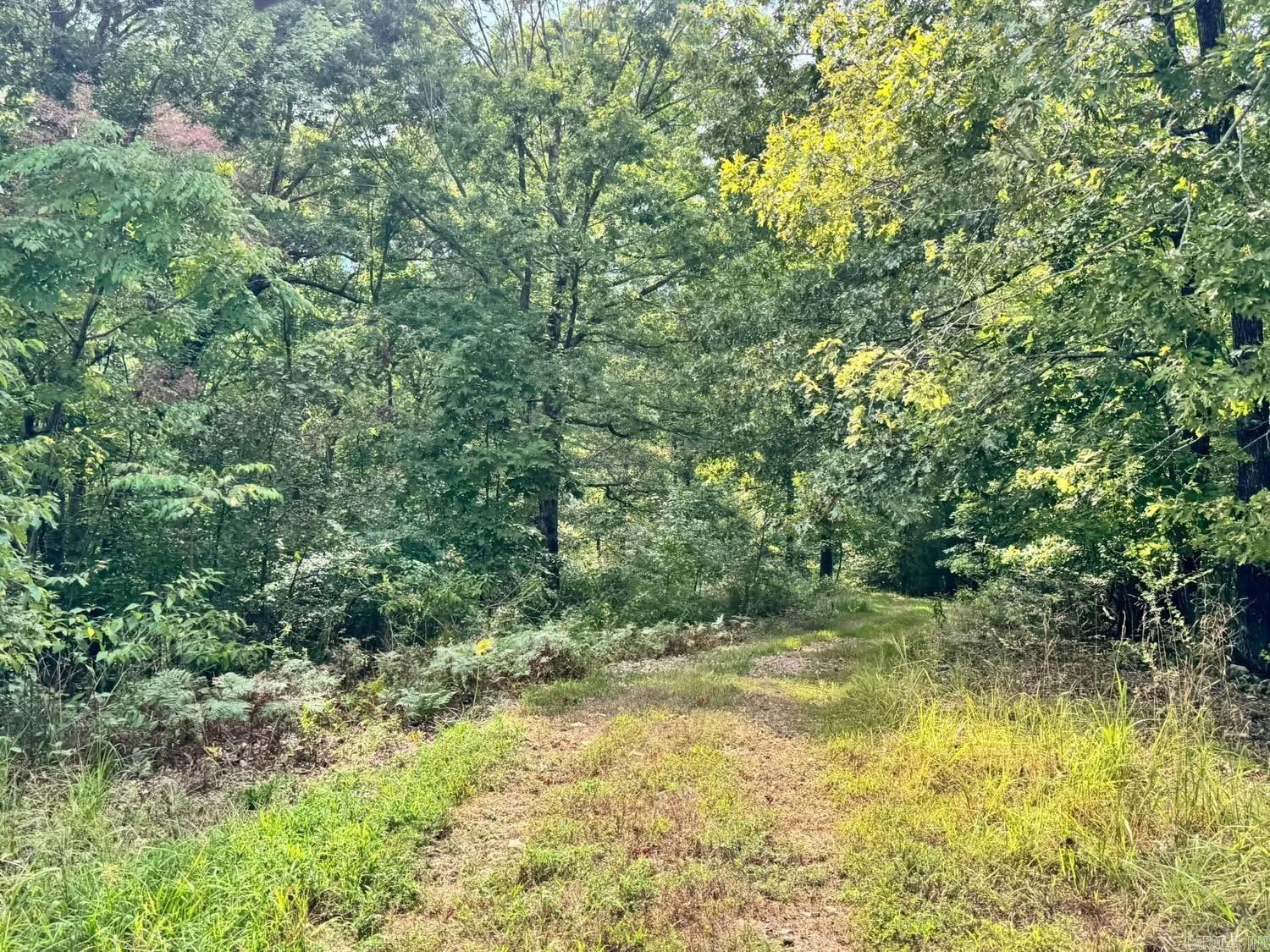 Photo 39 - Residential for sale – 90  Mitchell   Batesville, AR