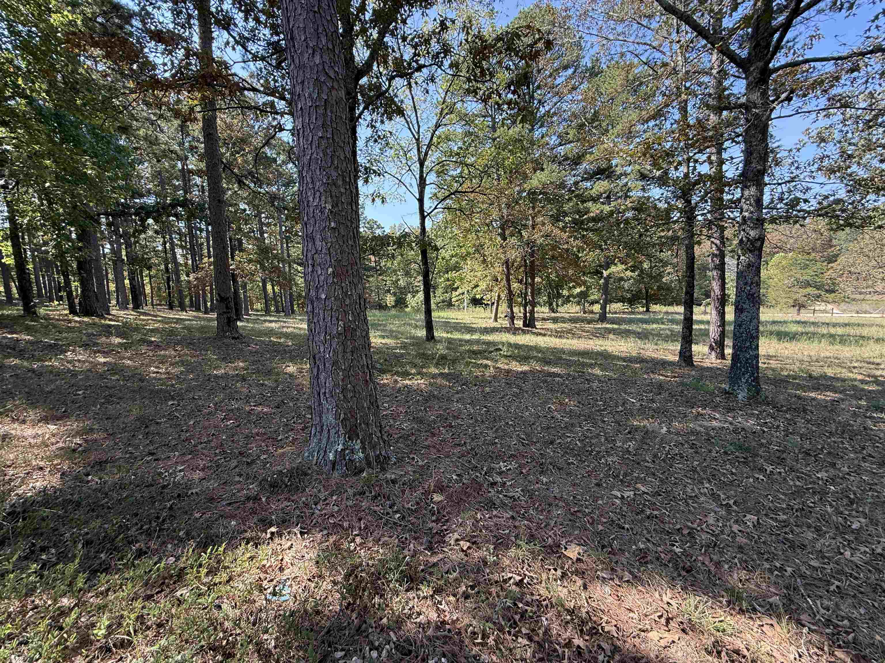 Photo 40 - Residential for sale – 145  Mabry Lane   Melbourne, AR