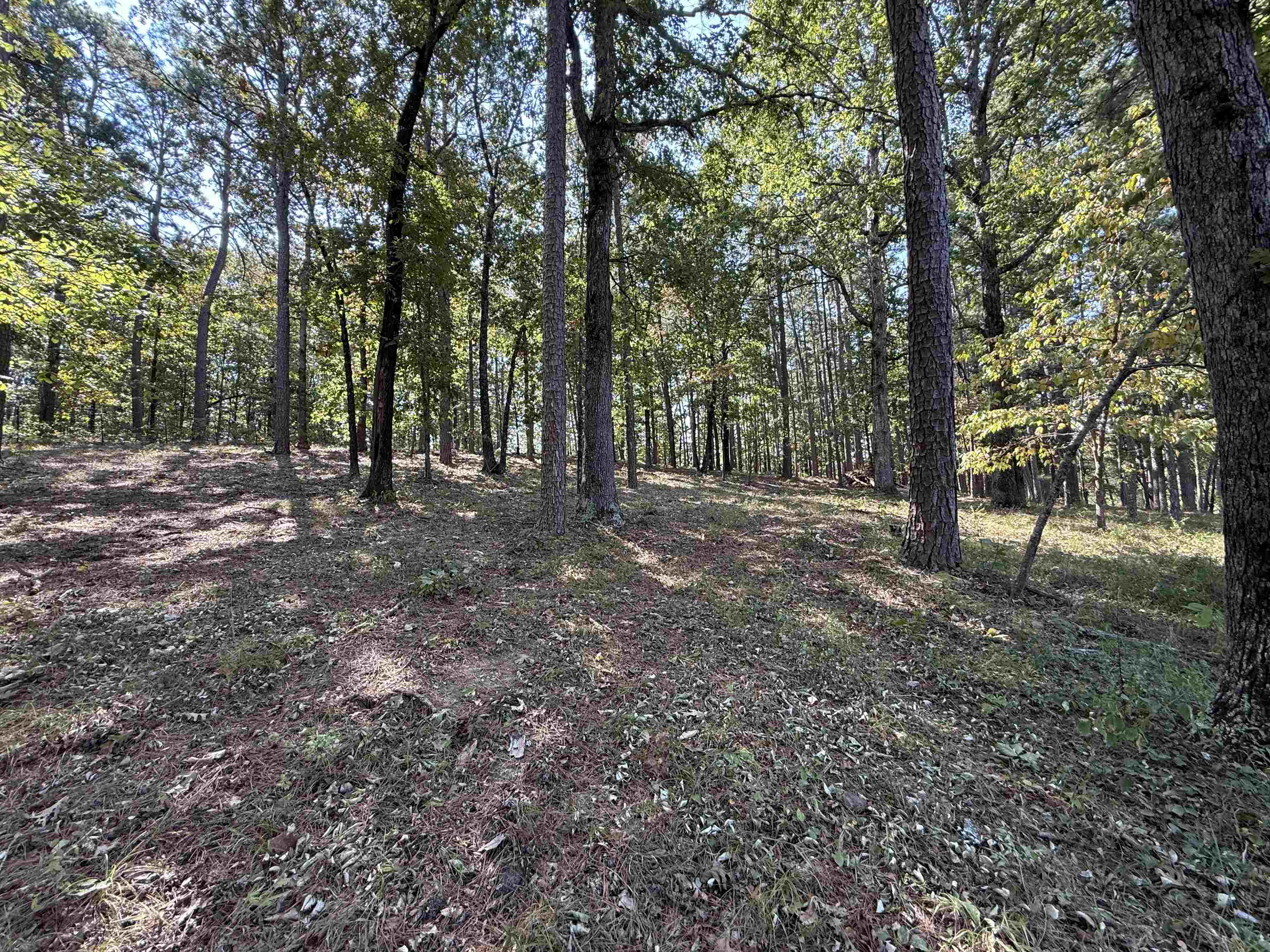 Photo 46 - Residential for sale – 145  Mabry Lane   Melbourne, AR
