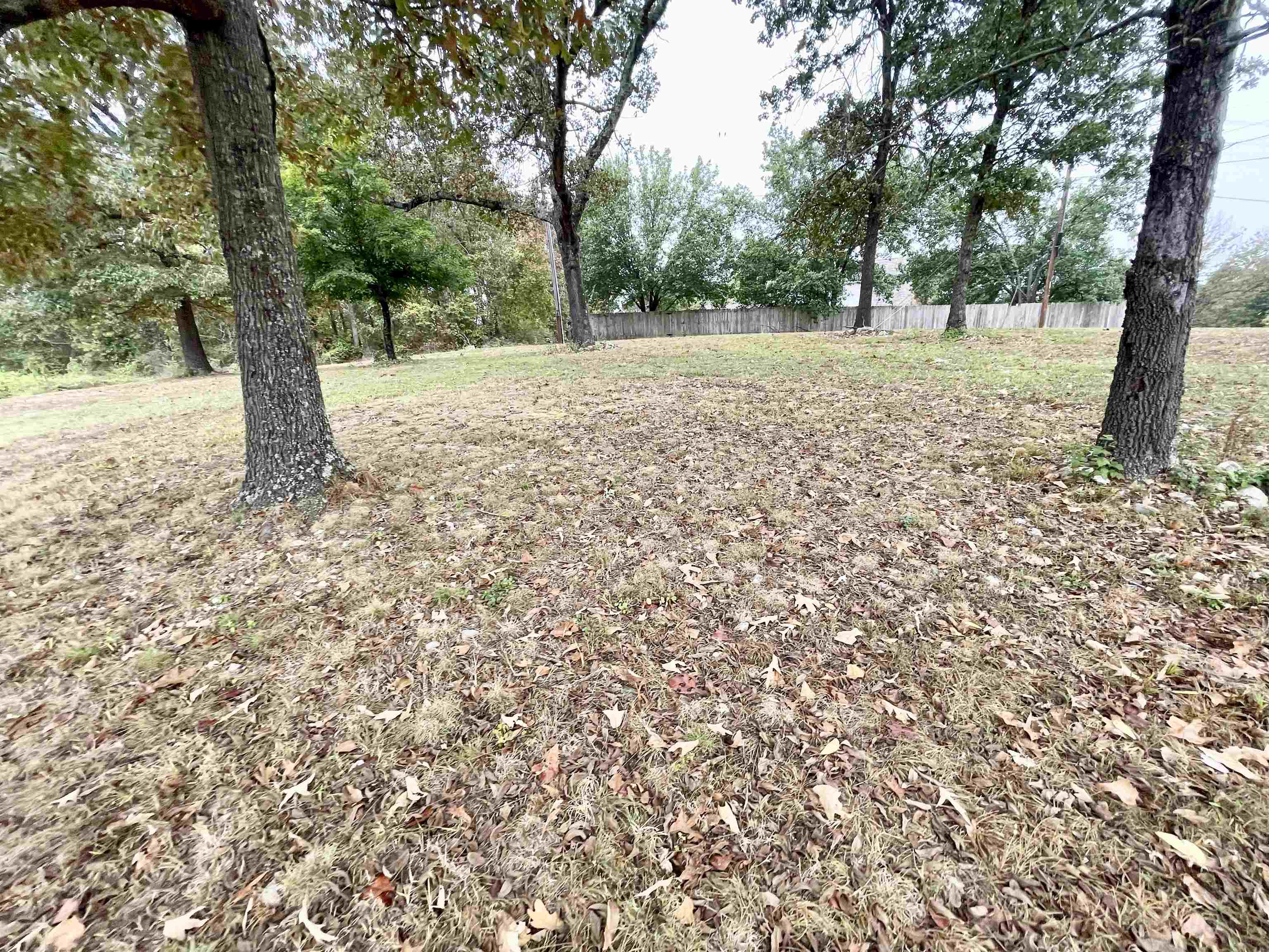 Photo 11 - Vacant Land for sale – 404 S Main   Salem, AR