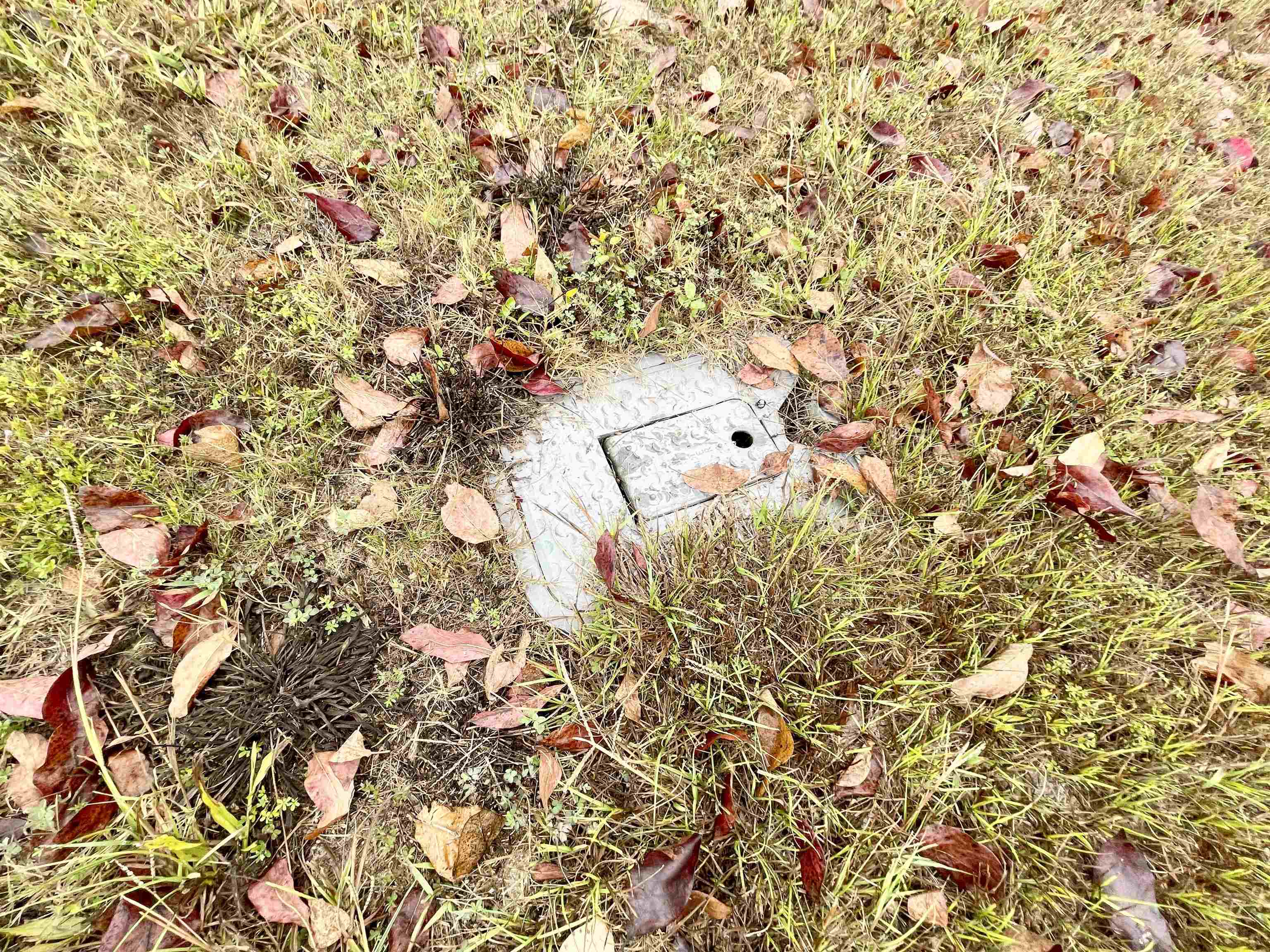 Photo 5 - Vacant Land for sale – 404 S Main   Salem, AR