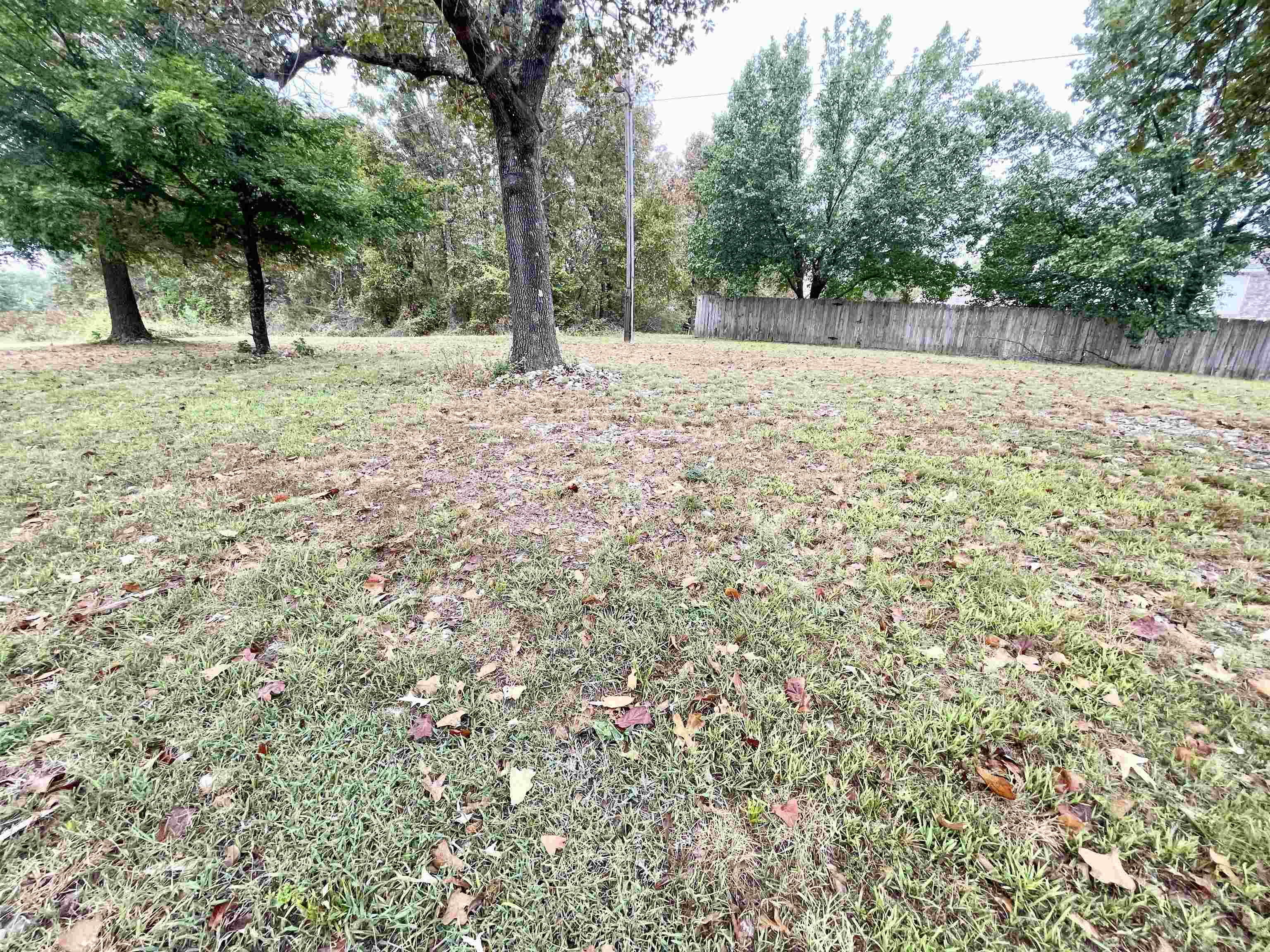 Photo 6 - Vacant Land for sale – 404 S Main   Salem, AR