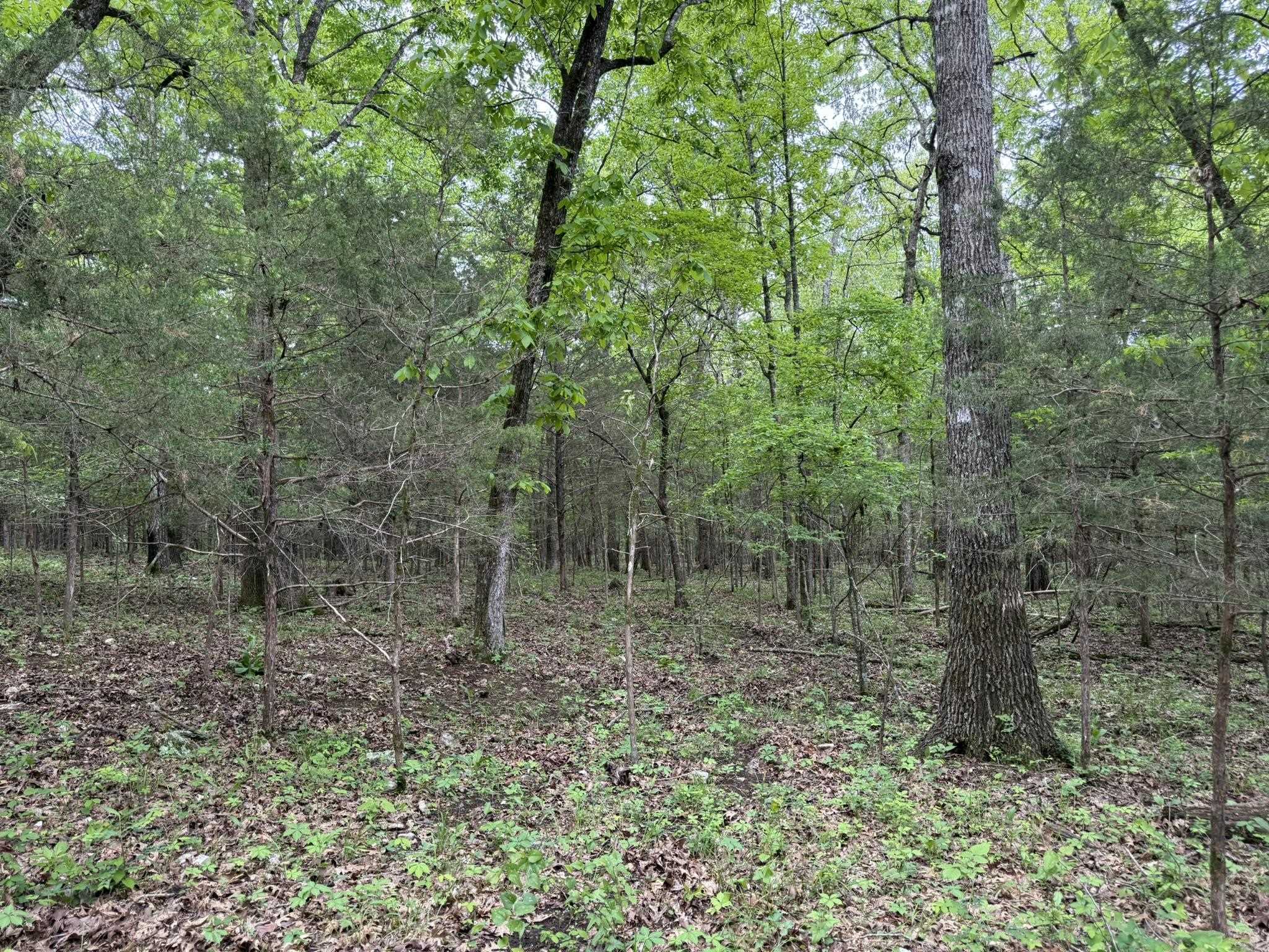 Vacant Land for sale – 26  Ridge Road   Hardy, AR
