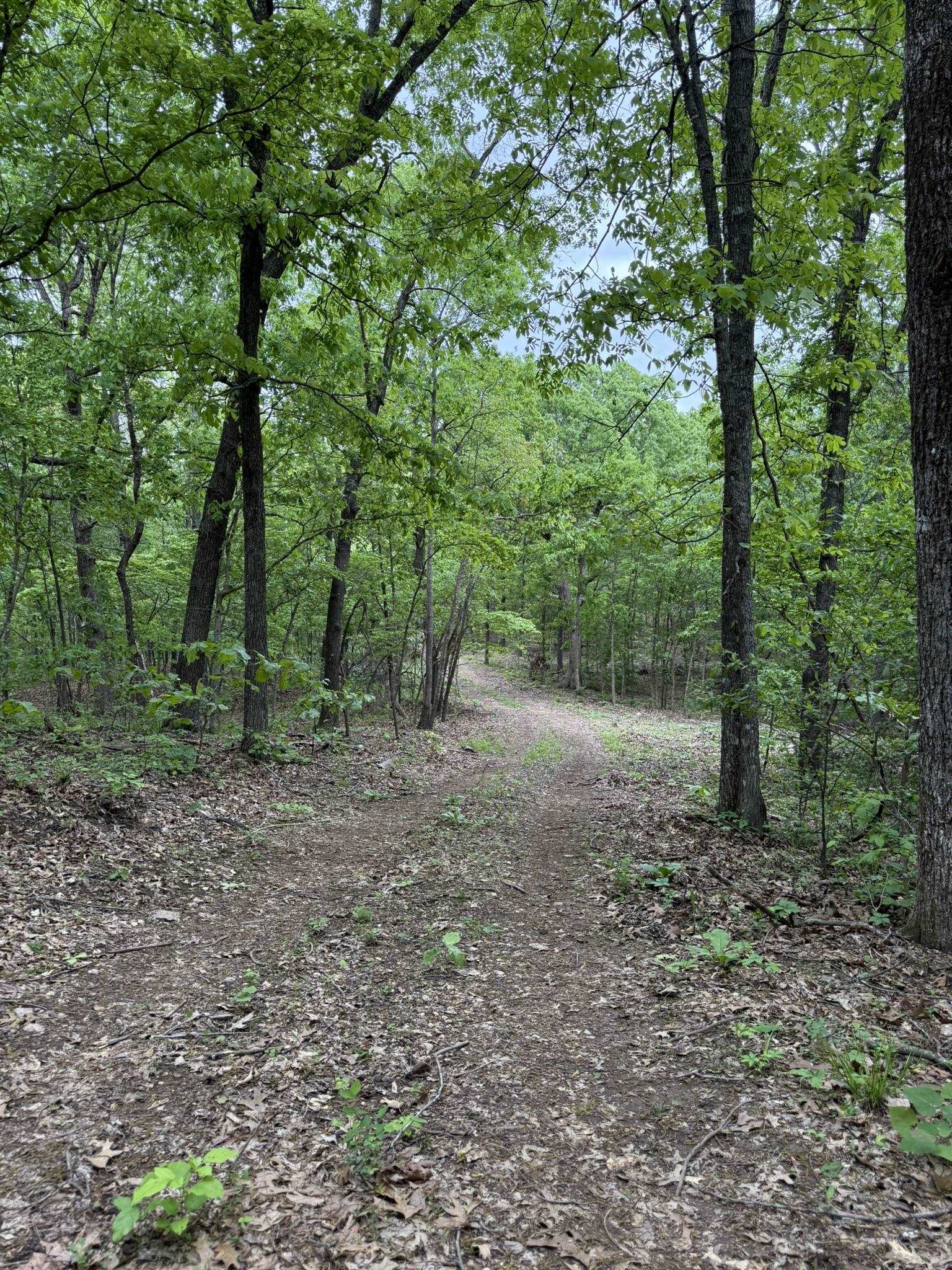 Photo 2 - Vacant Land for sale – 26  Ridge Road   Hardy, AR