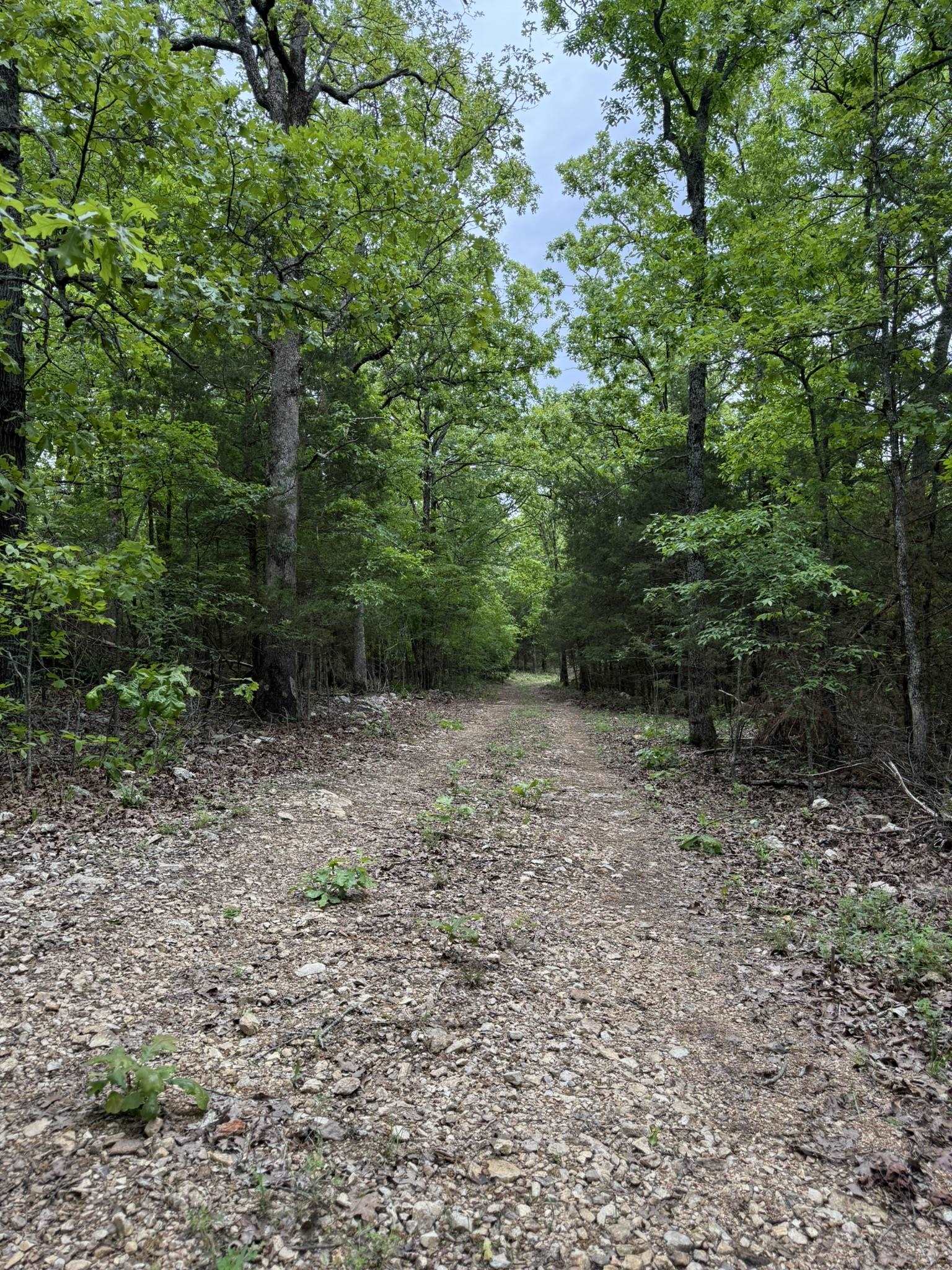 Photo 3 - Vacant Land for sale – 26  Ridge Road   Hardy, AR