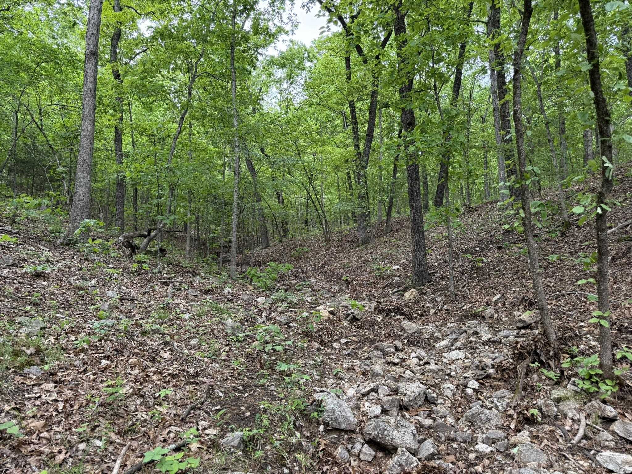 Photo 5 - Vacant Land for sale – 26  Ridge Road   Hardy, AR