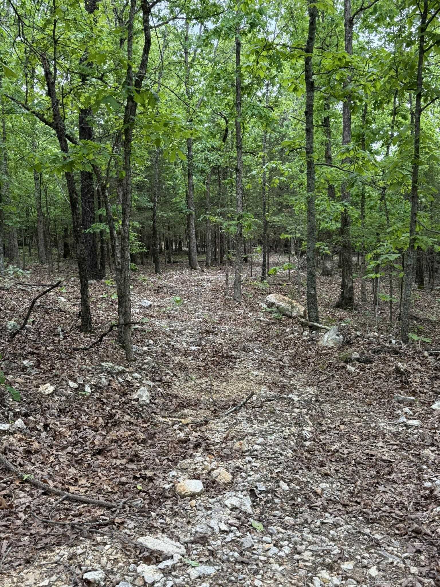 Photo 6 - Vacant Land for sale – 26  Ridge Road   Hardy, AR