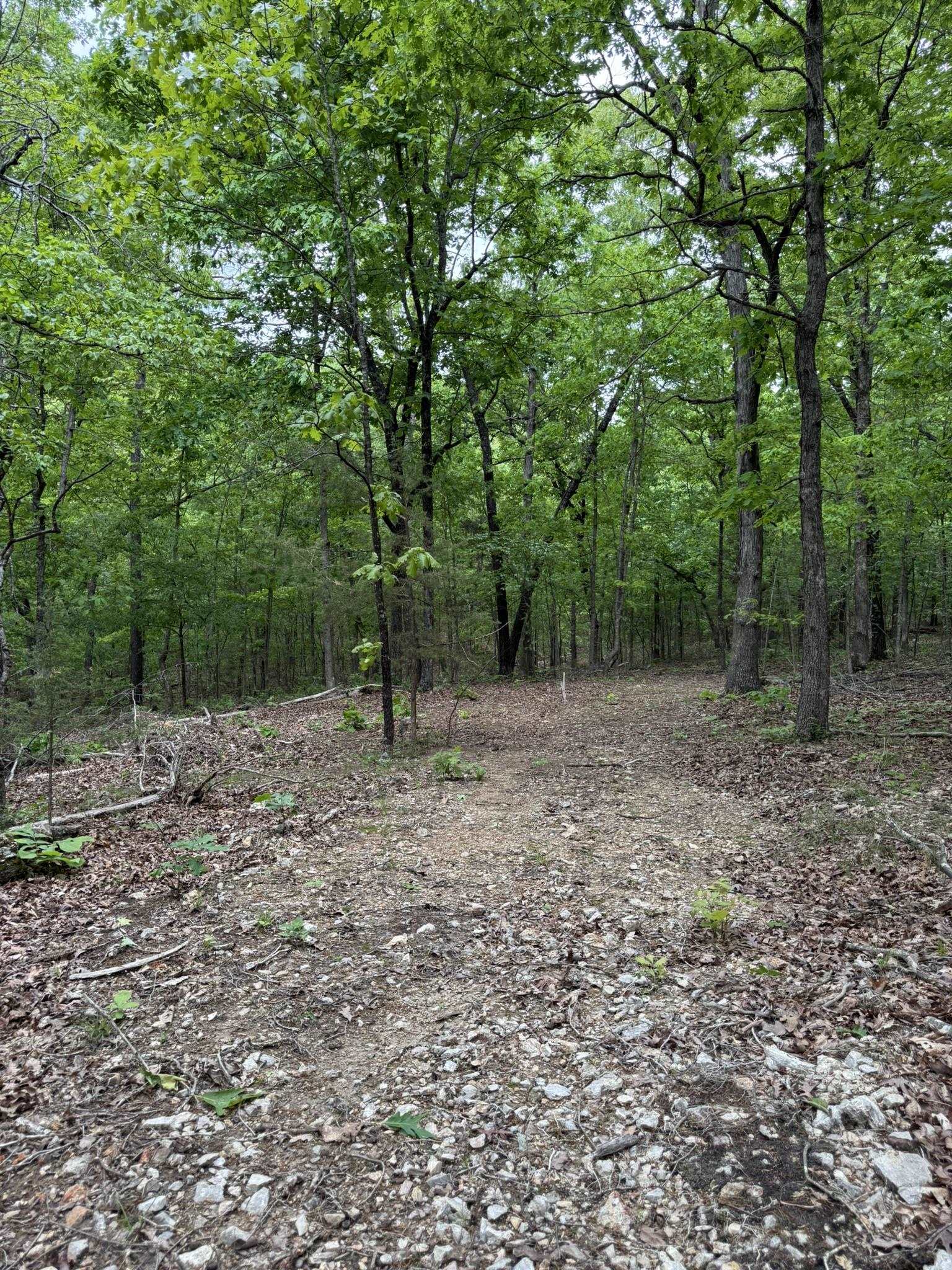 Photo 7 - Vacant Land for sale – 26  Ridge Road   Hardy, AR