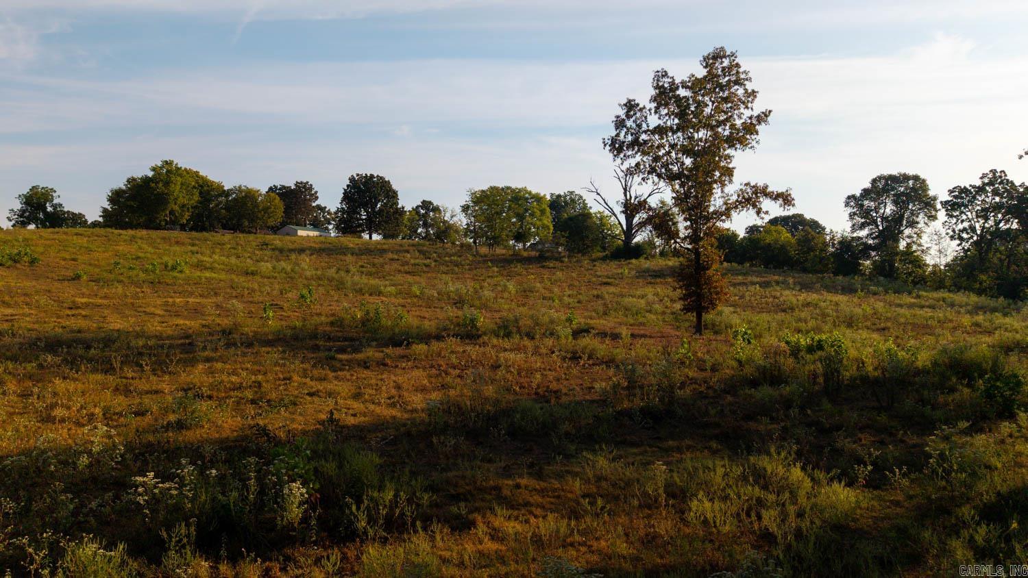 Photo 11 - Vacant Land for sale – 000  Bamber Road   Mammoth Spring, AR