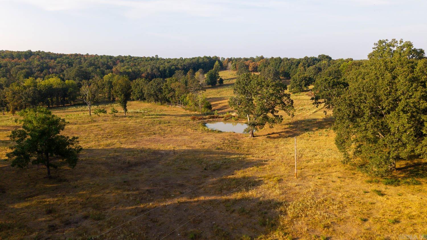 Photo 14 - Vacant Land for sale – 000  Bamber Road   Mammoth Spring, AR
