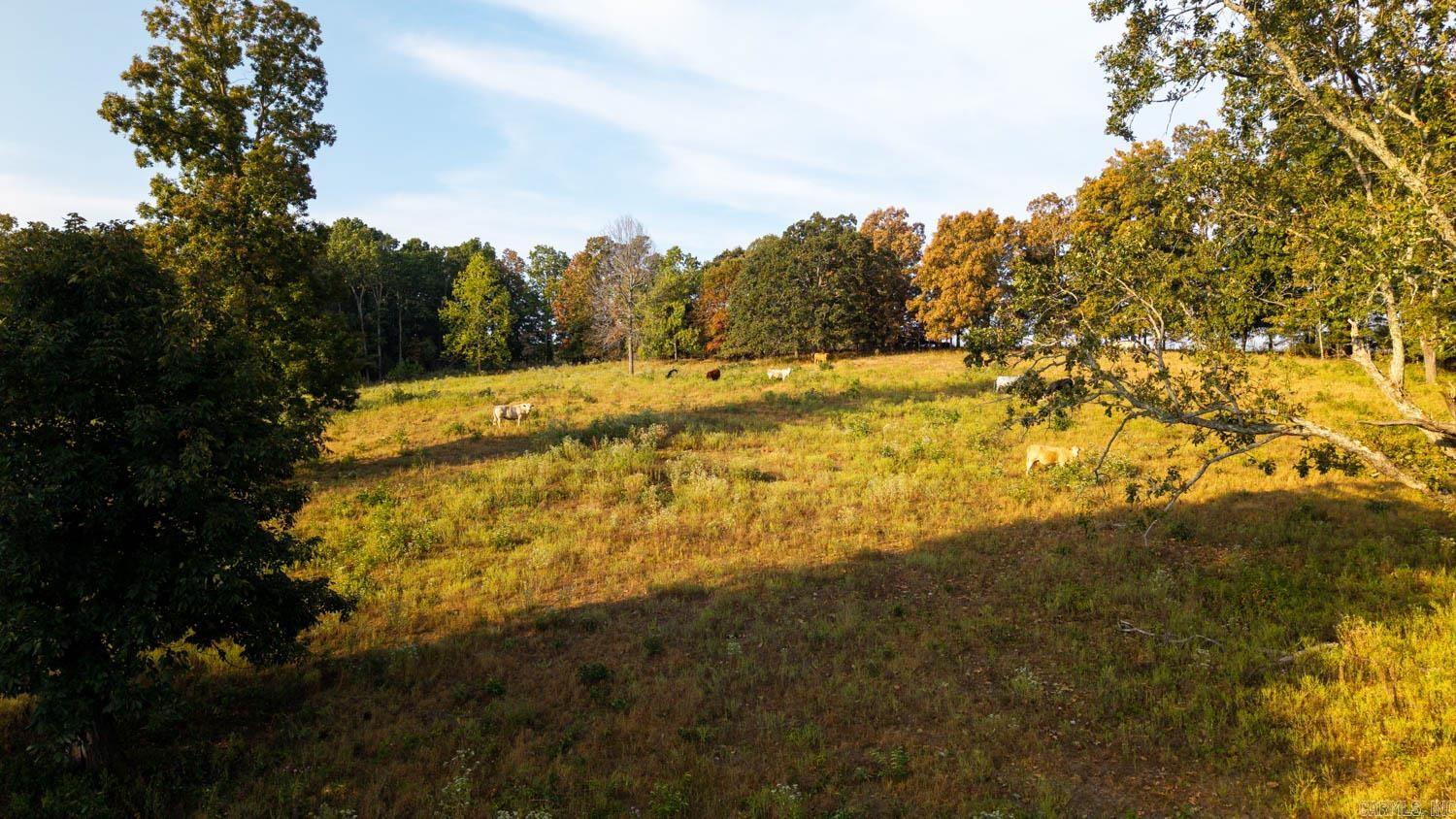Photo 15 - Vacant Land for sale – 000  Bamber Road   Mammoth Spring, AR